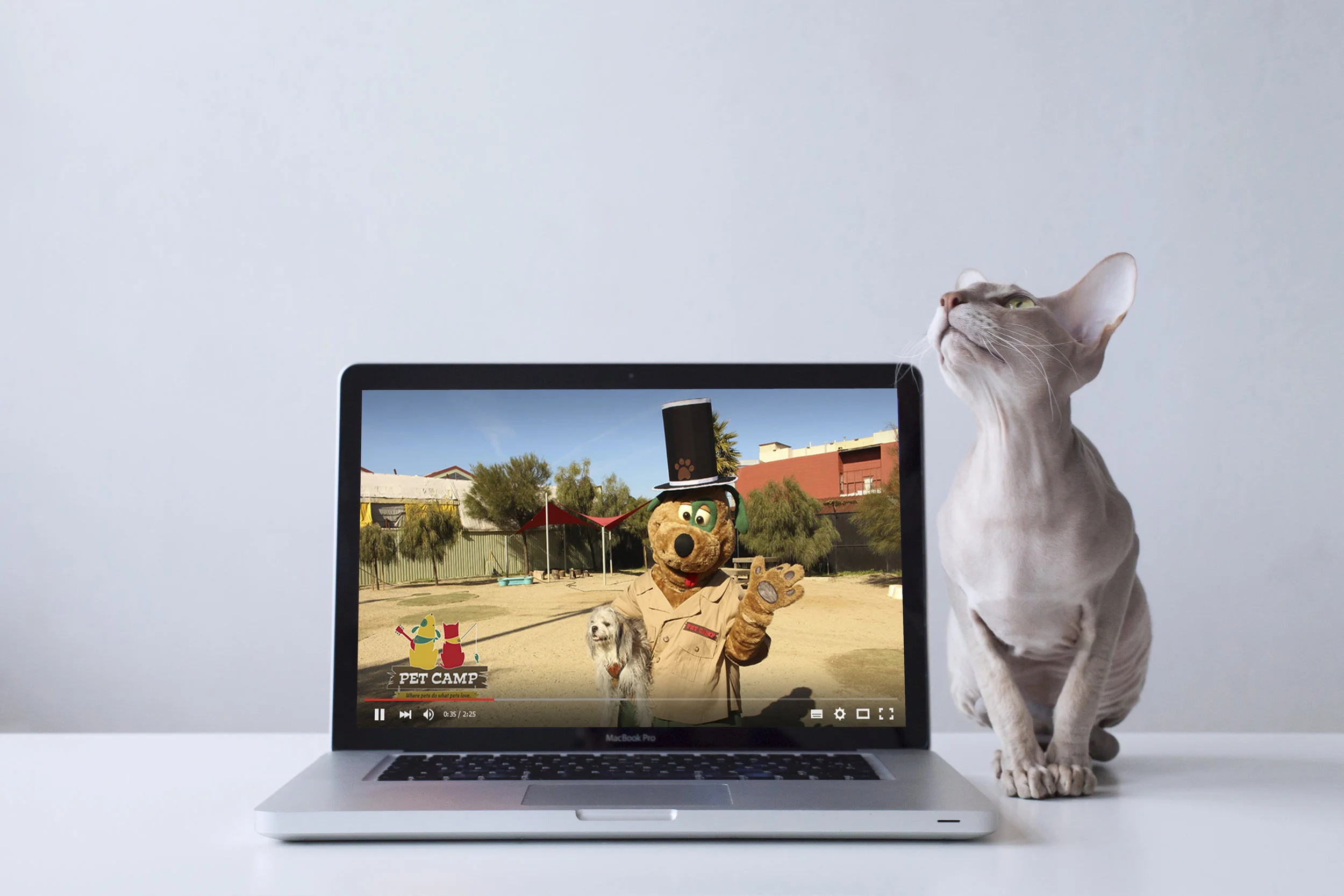 PET CAMP