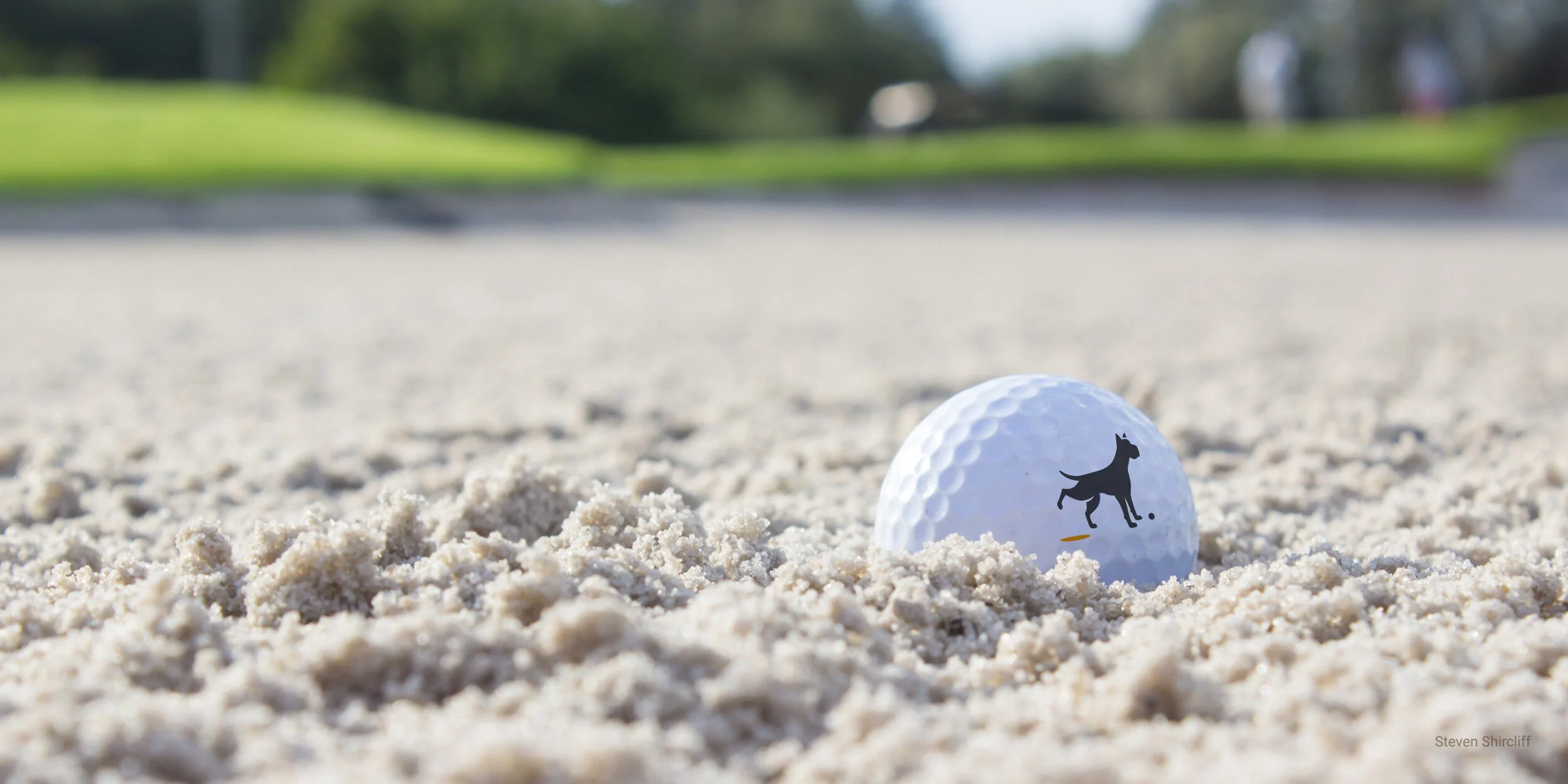 dogleg_107.jpg