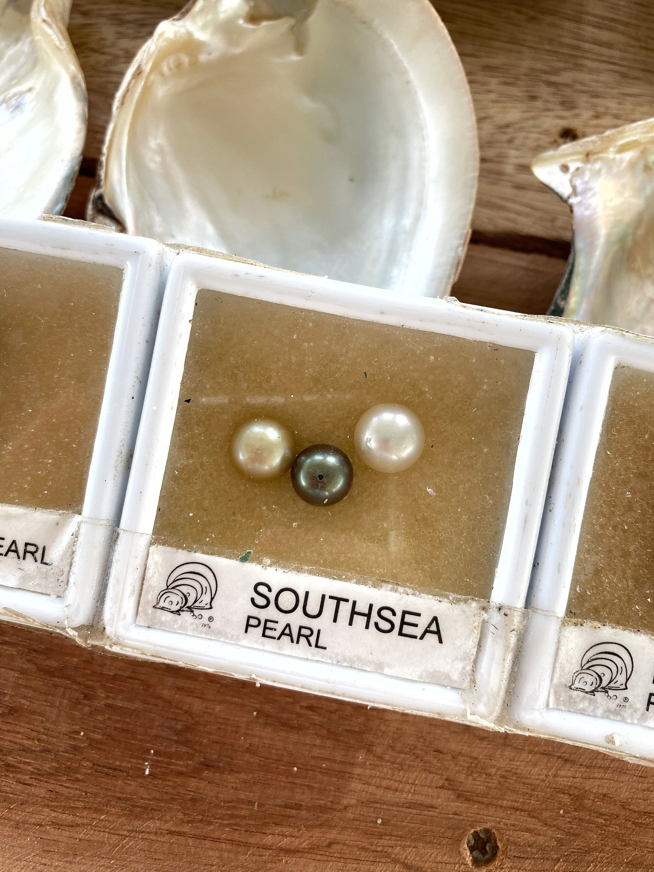 The larger, most rare of all the pearls: South Sea.