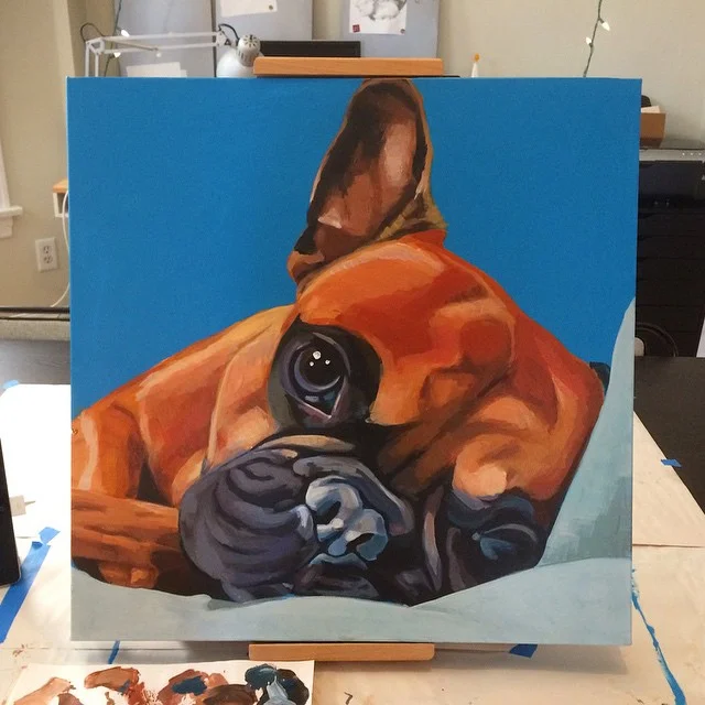 frenchie.jpg