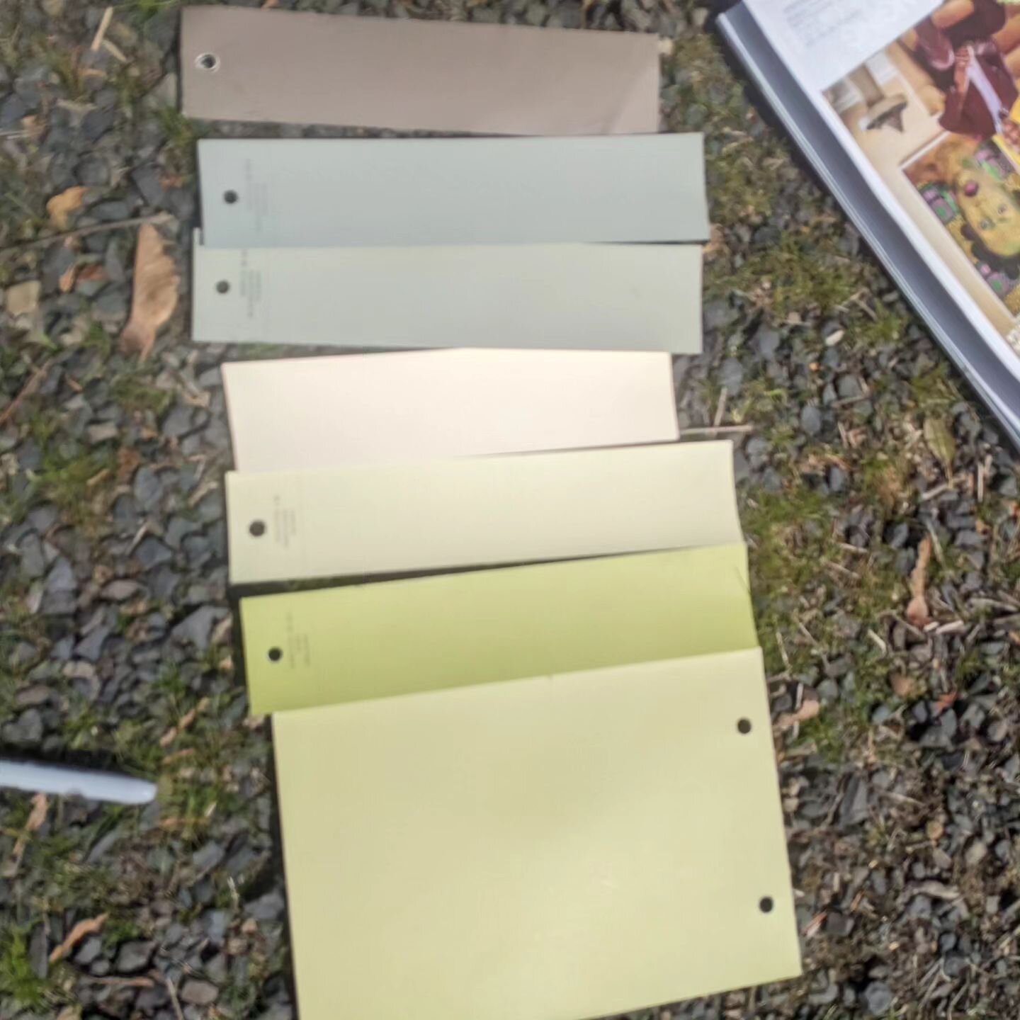 Soft transitions for a house with dramatic gardens.

#colorconsultantpacificnorthwest #colordesignportlandoregon #colorbecauseitmatters