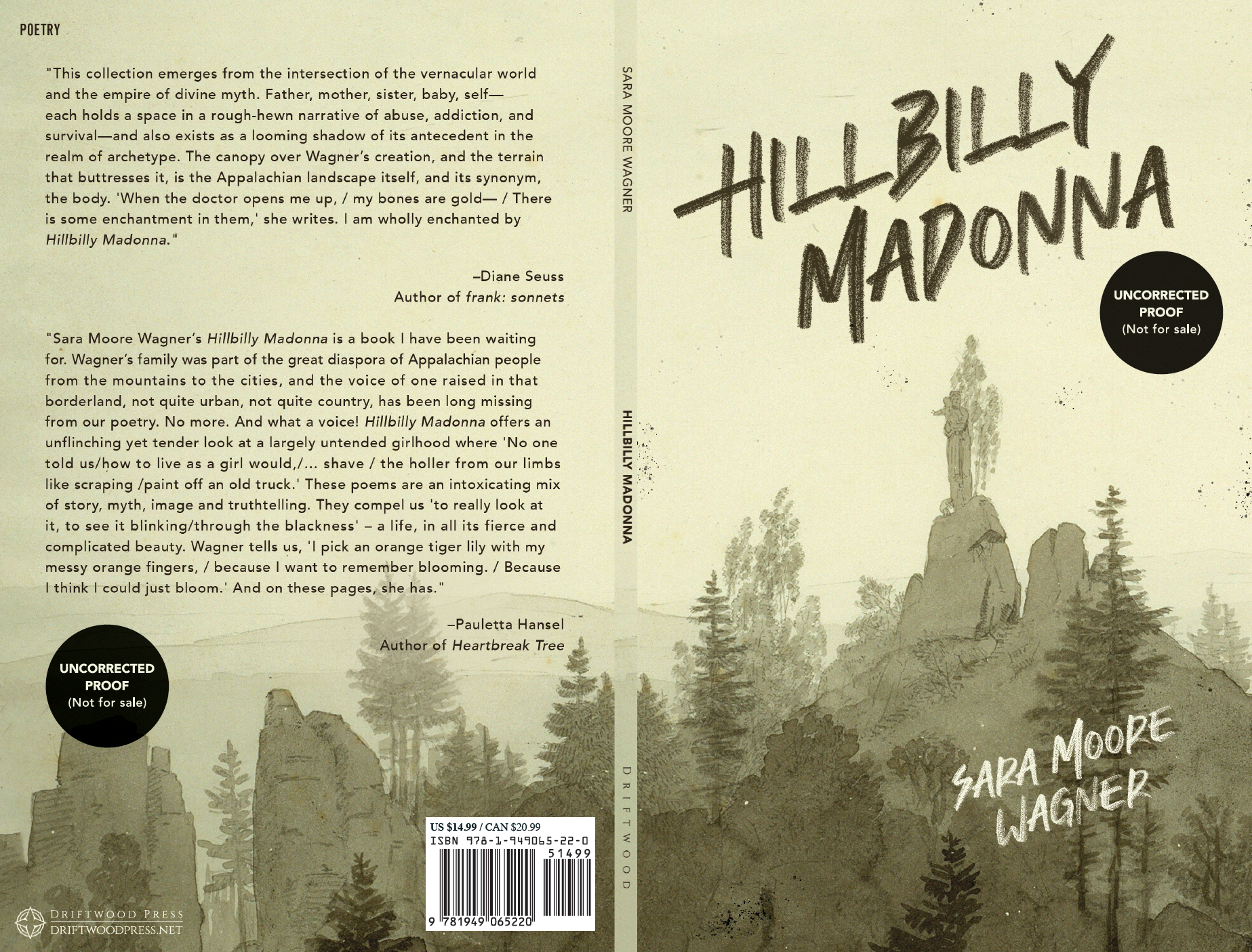 Hillbilly Madonna Book 