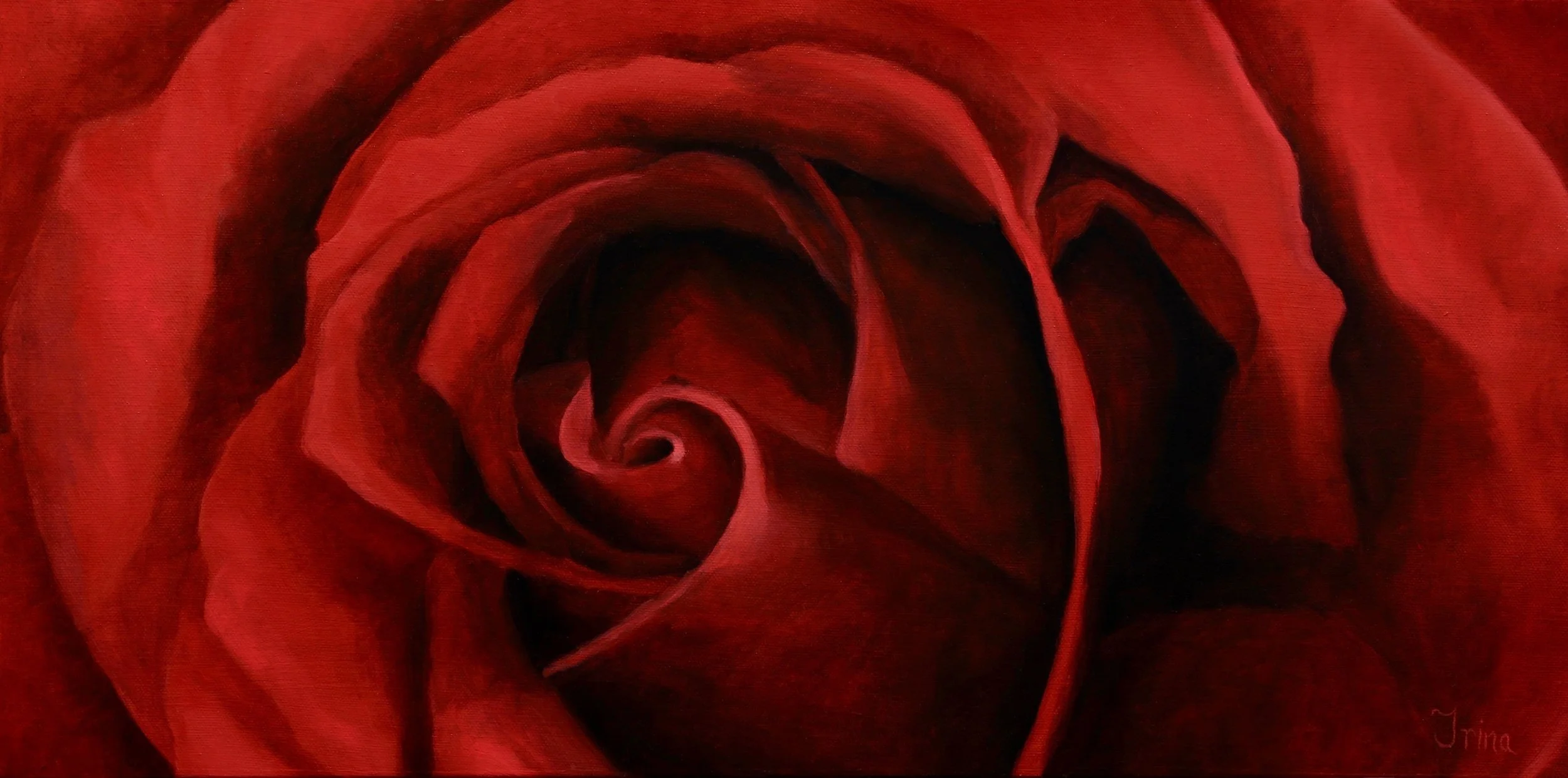 Madison's Rose 12x24 oil on canvas