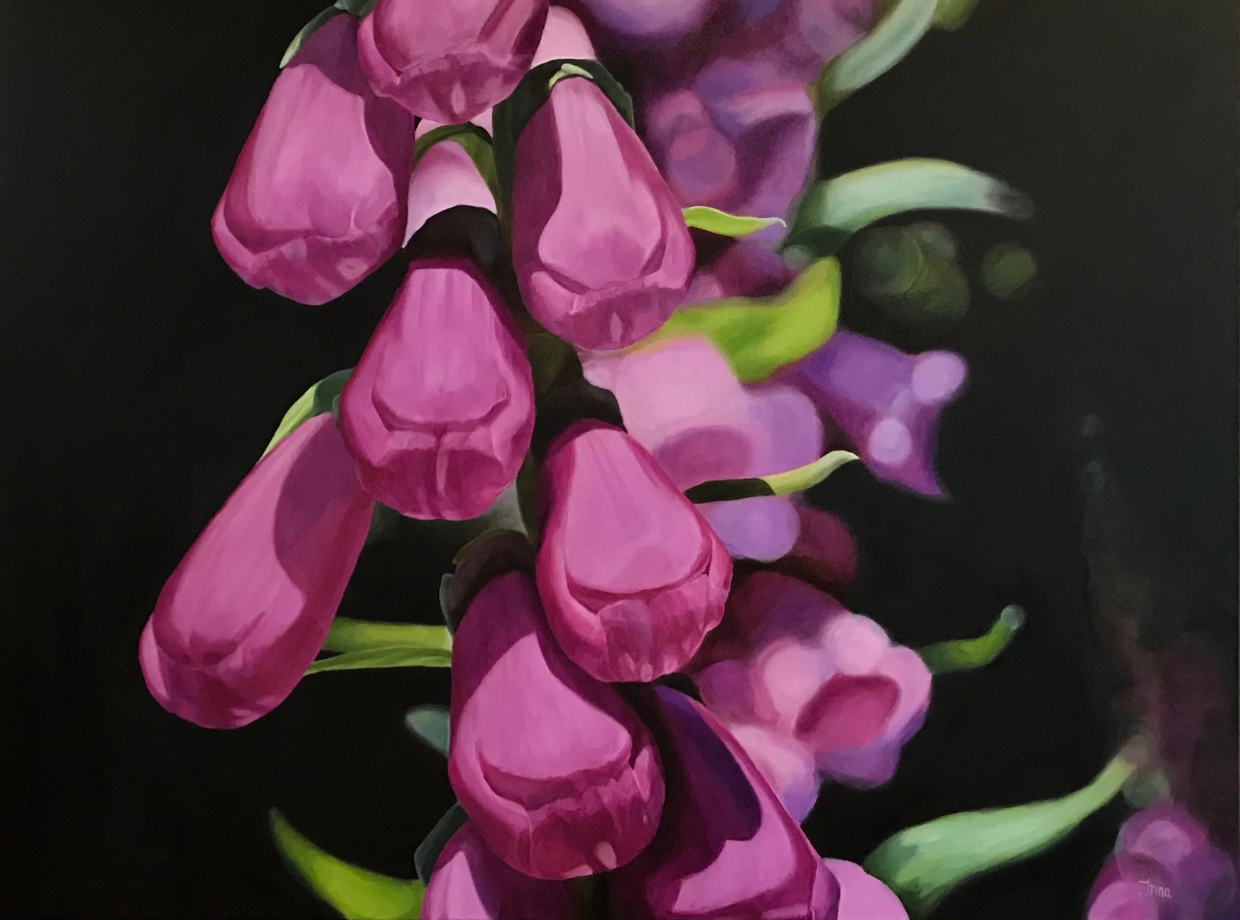 FOXGLOVE 2 36X48 OIL ON CANVAS