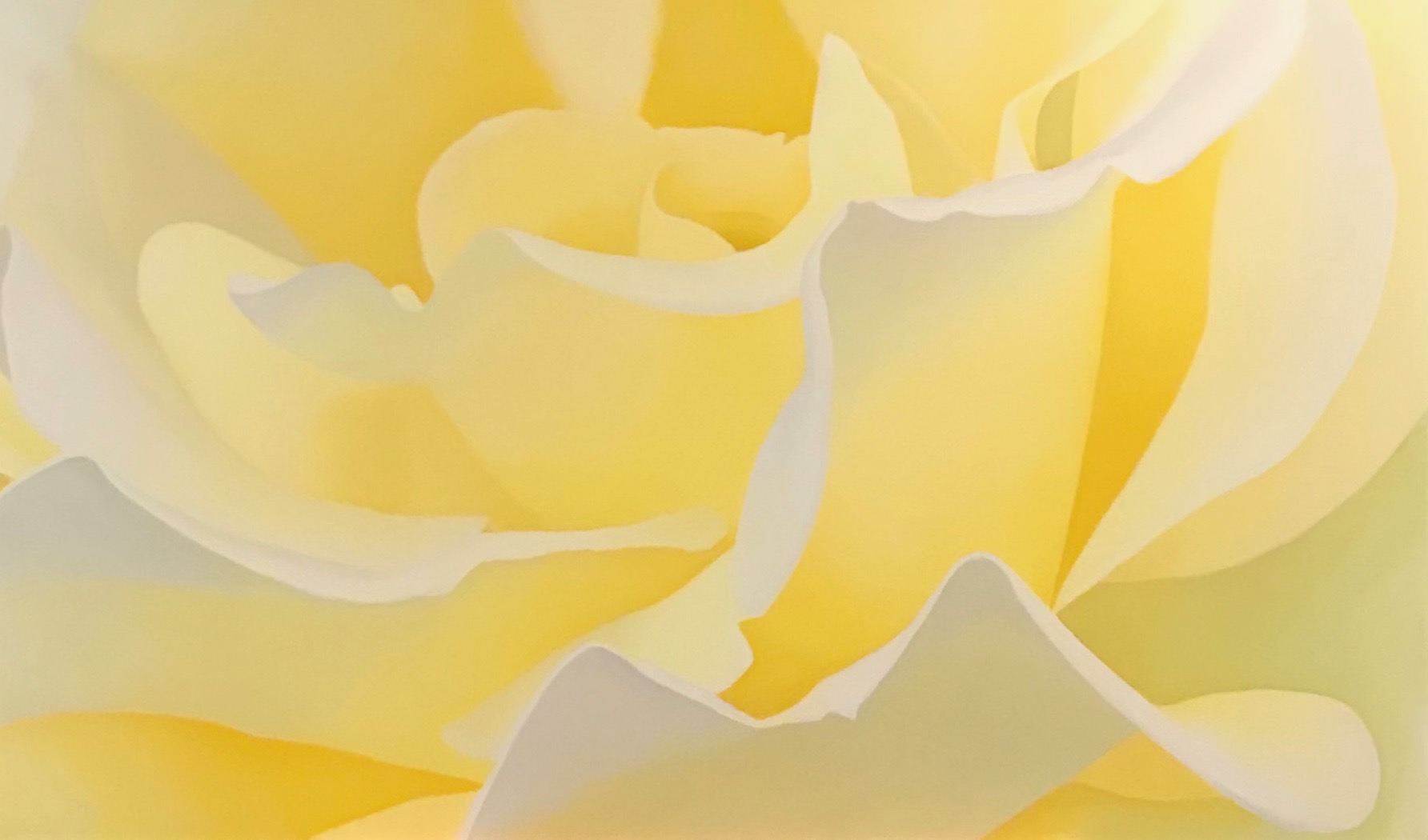 Good Morning Beautiful 36"x60" oil and wax on canvas