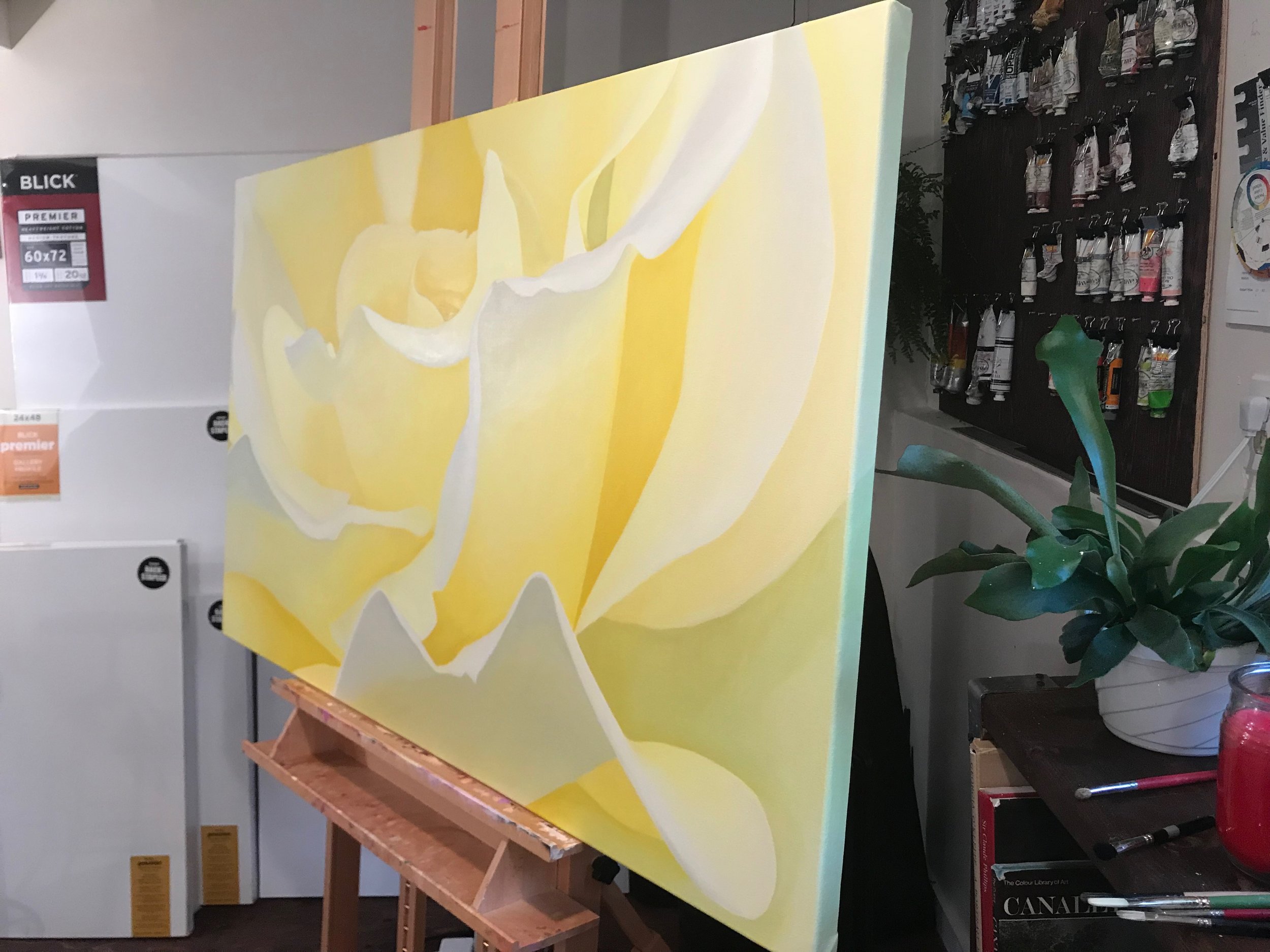 File Feb 16, 8 33 30 AM.jpeg