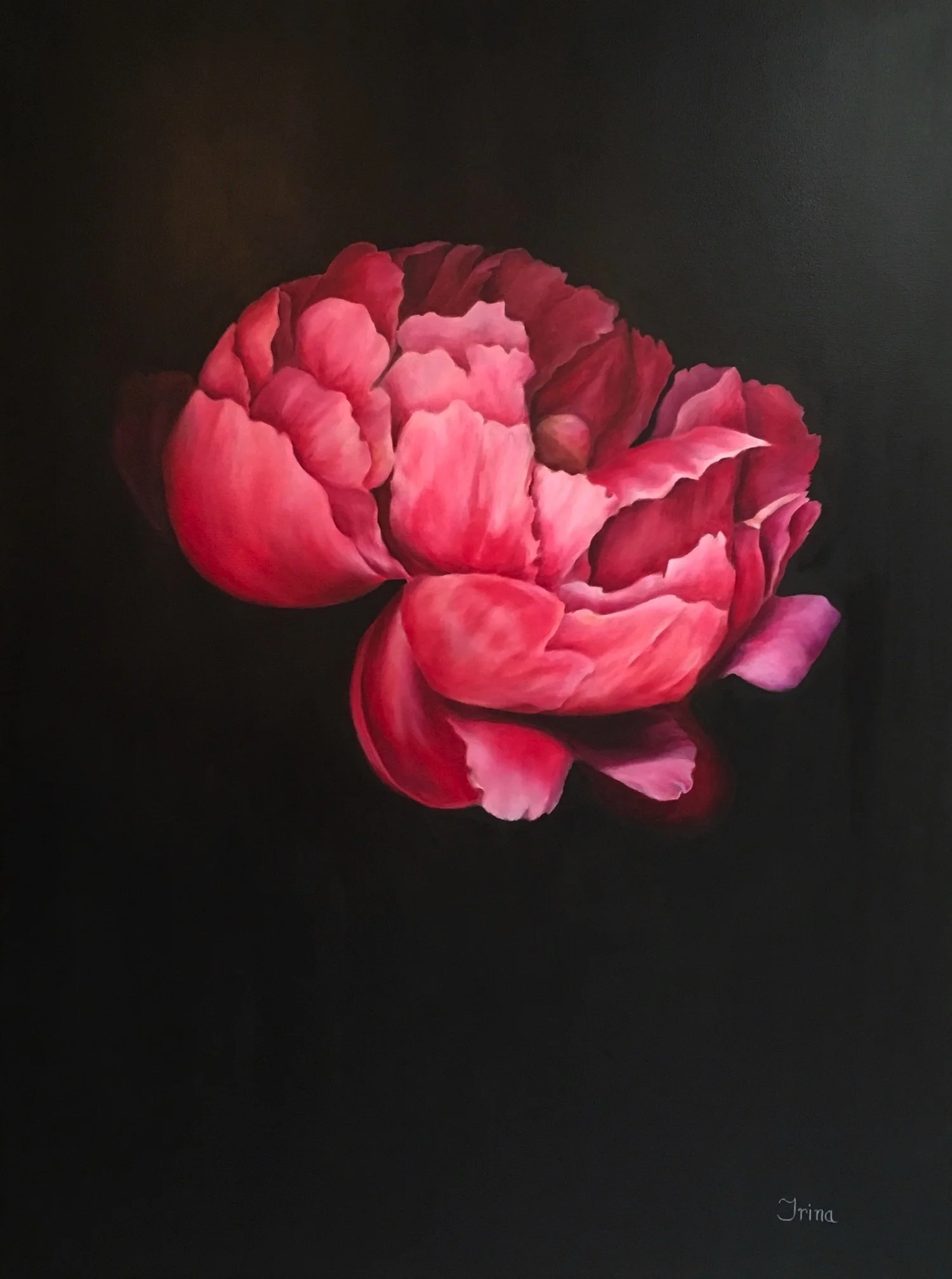 Image Peony.jpg
