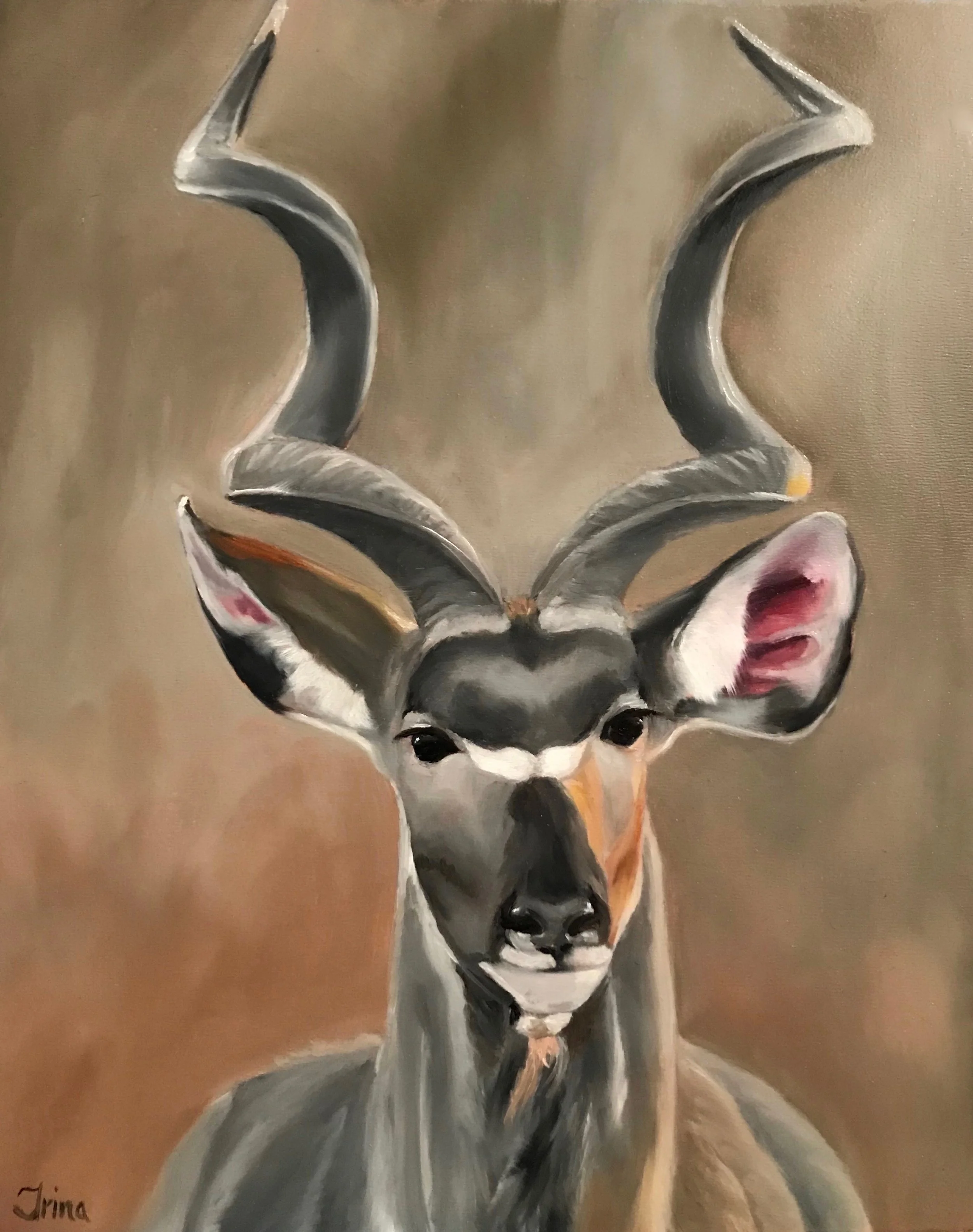 File Feb 21, 12 11 18 PM.jpeg