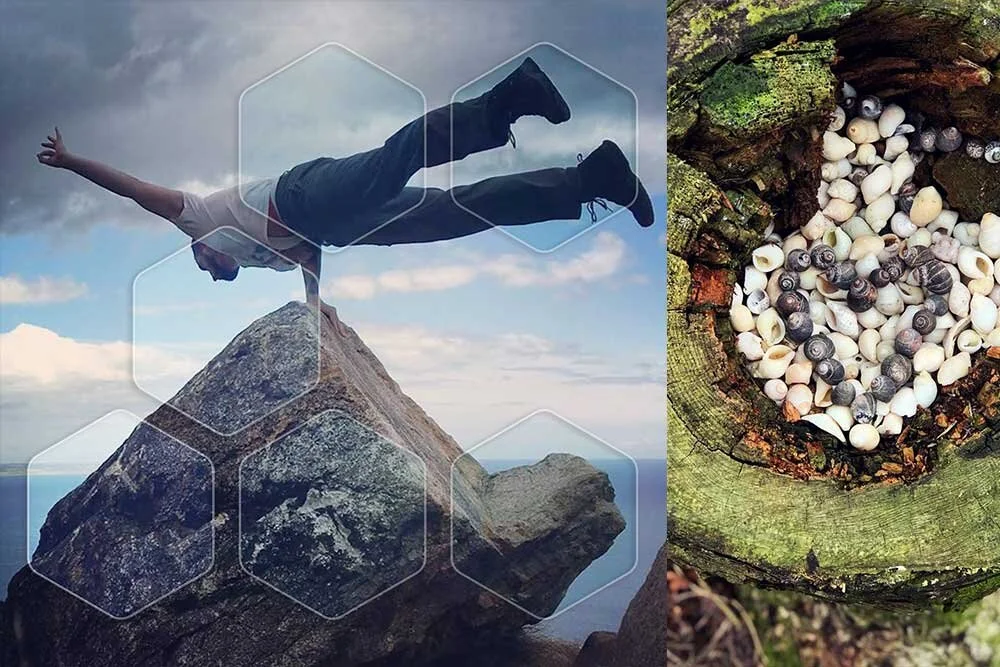 Building Our Immune System with Scott Riley