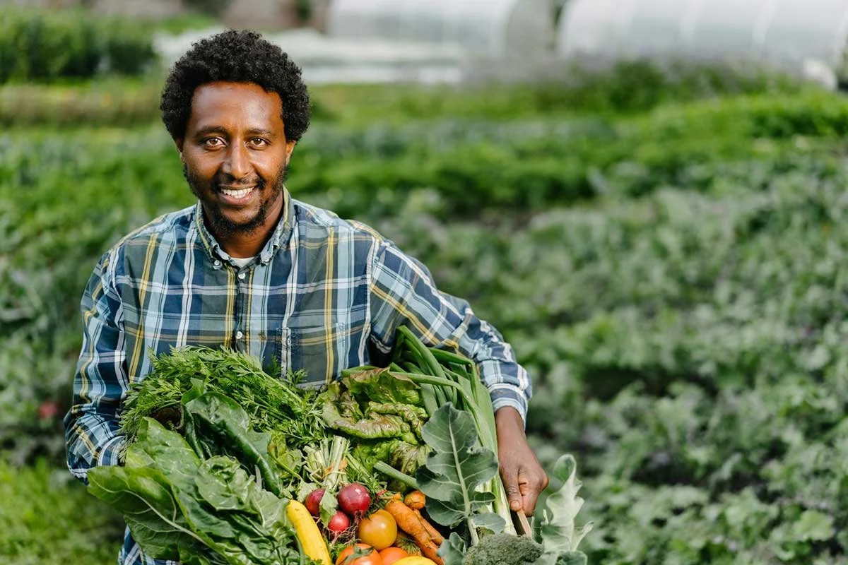 Biruk Sahle: Hahu Organics, Helens Bay Walled Garden