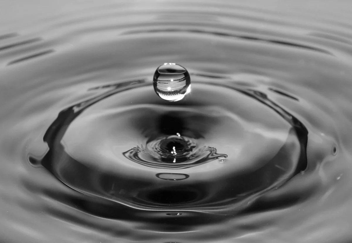 55733B69-F719-4627-A0C6-665F85EB8C6B.jpeg