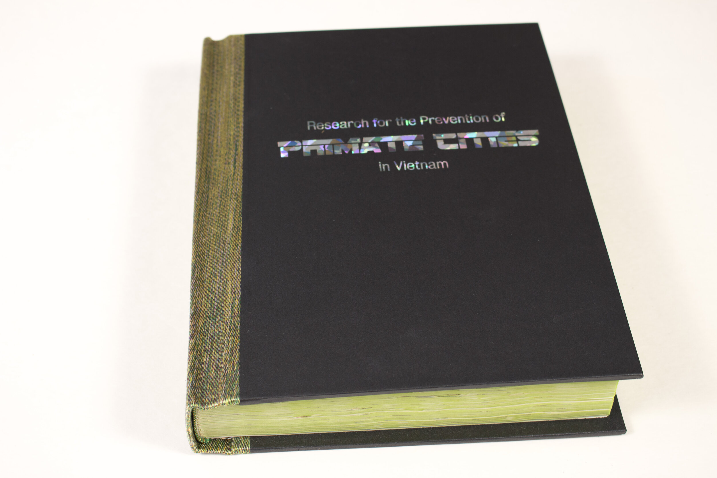 Research for the Prevention of Primate Cities