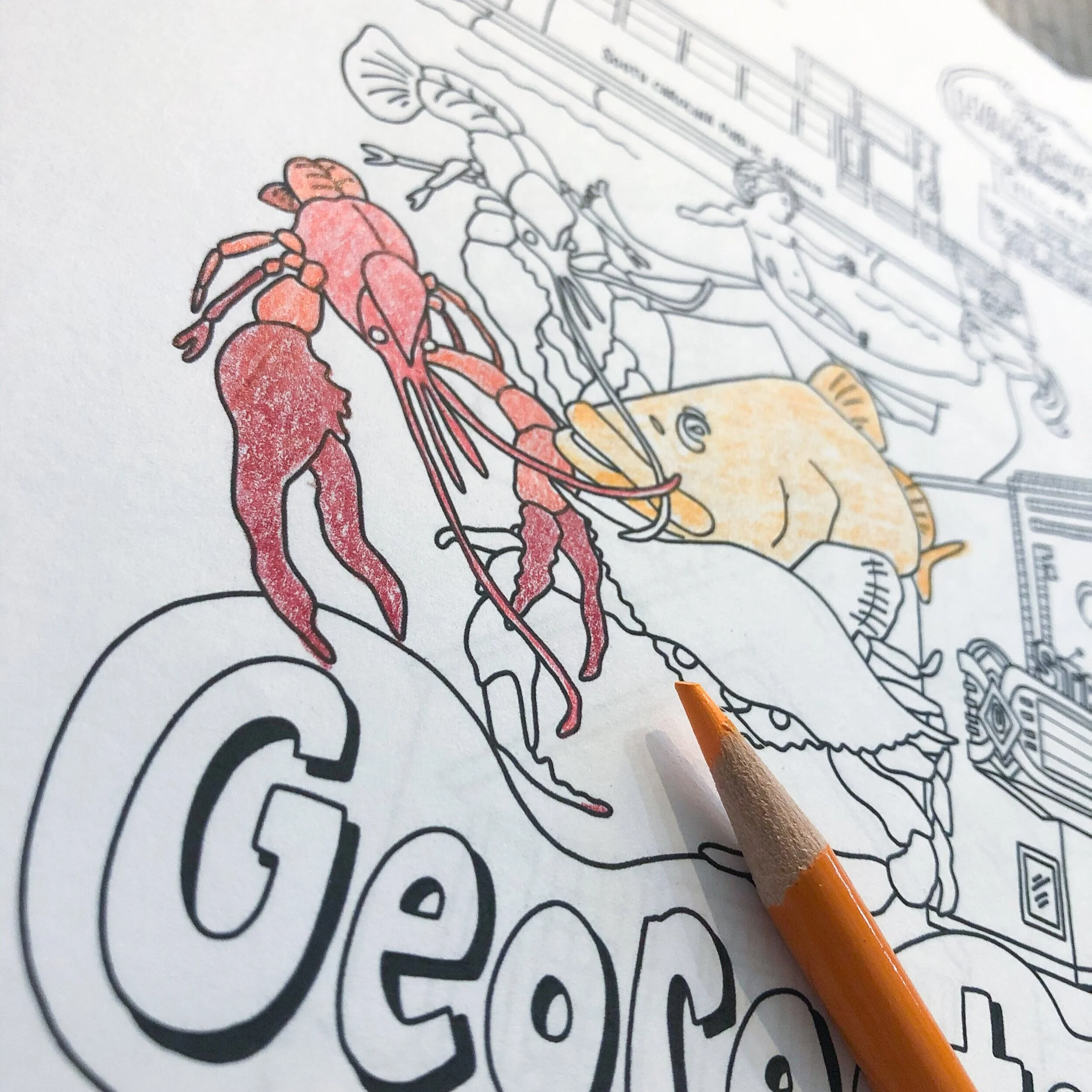 Amazing South Carolina County Downloads