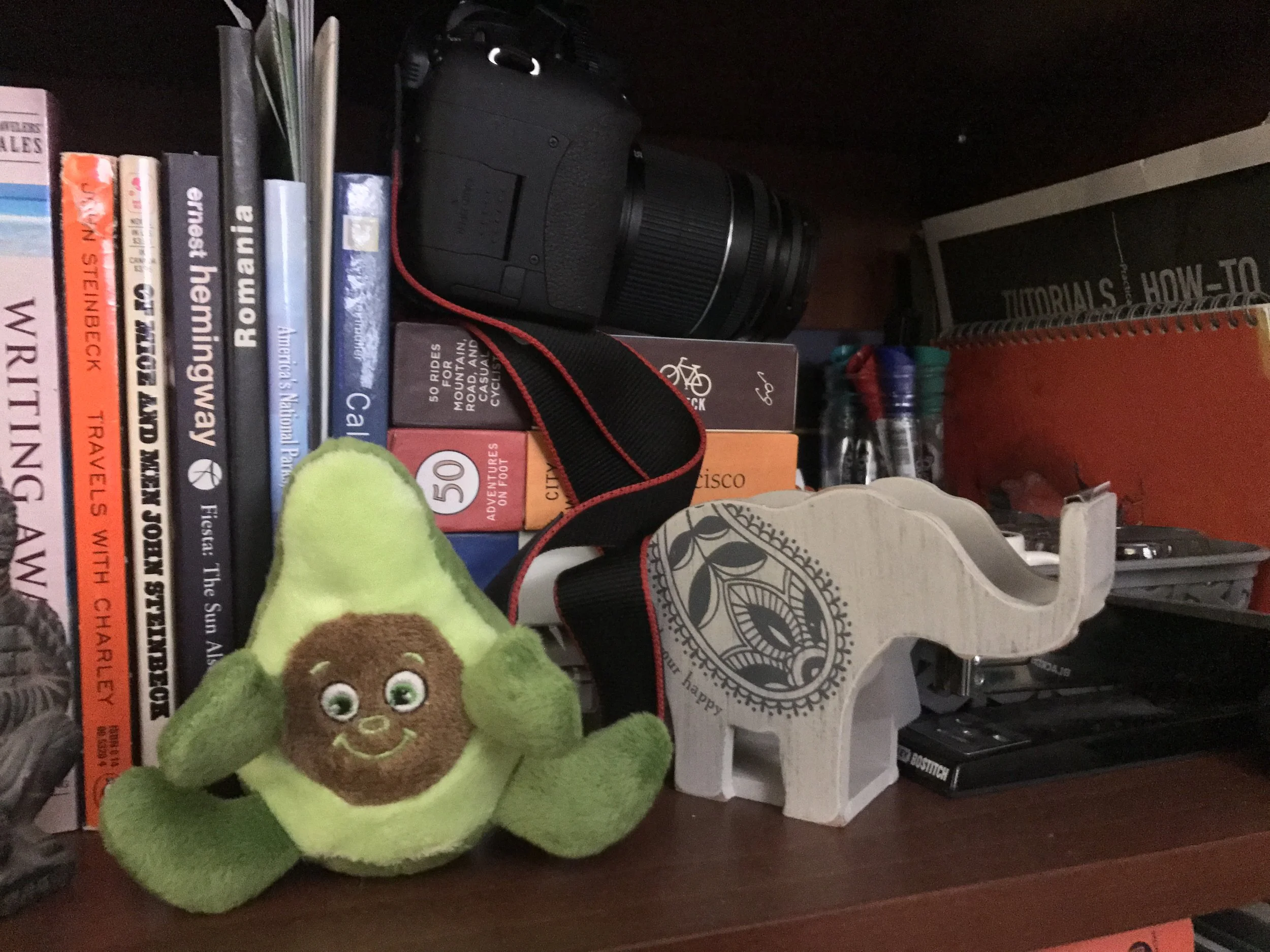 Developer Avocados: The Good Kind of Fat