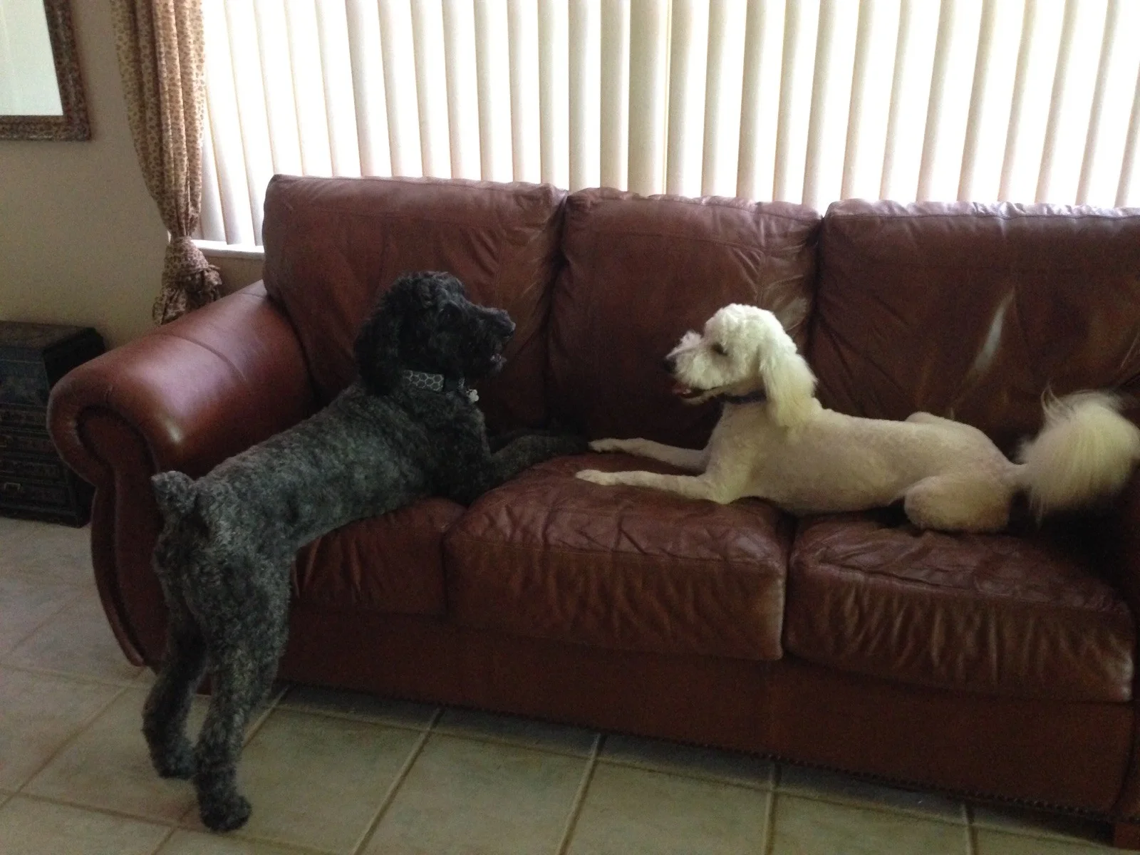 Cozycreatures Clients - 6.jpg