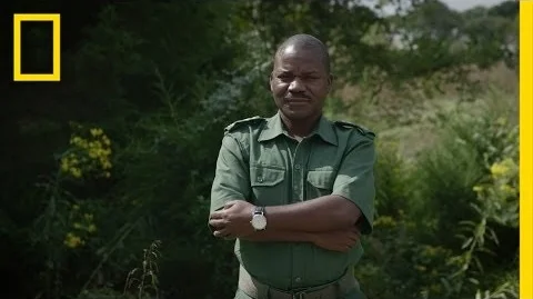 Fighting Wildlife Crime: The Unsung Heroes | National Geographic