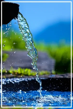 Swiss_Water.jpg