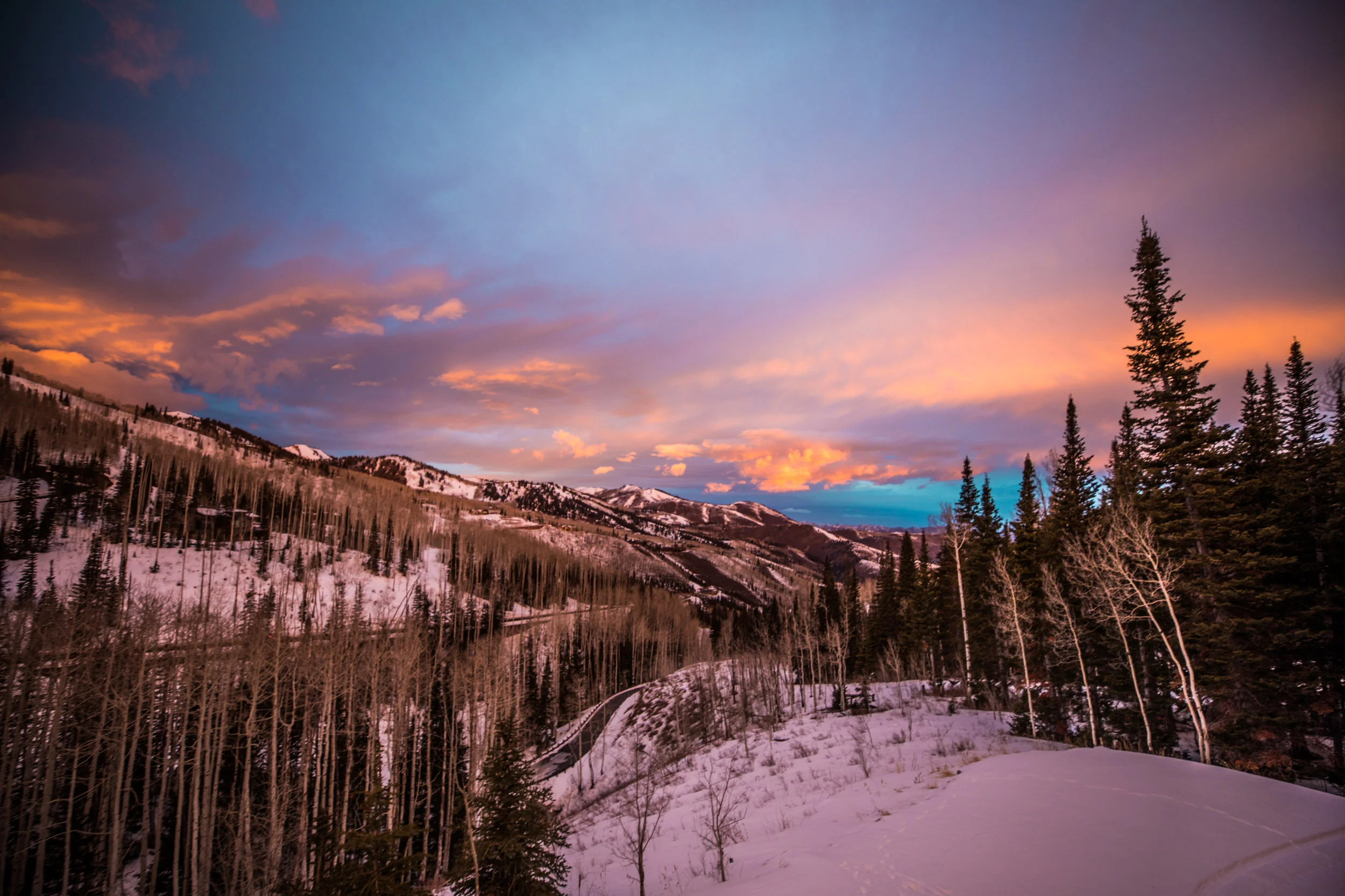 Landscape (1 of 1).jpg