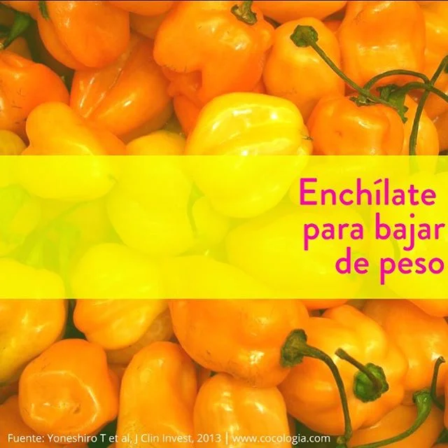 Si quieres saber c&oacute;mo, por qu&eacute;, c&oacute;mo cu&aacute;ndo... checa la entrada nueva (link en bio) 🌶❄️💪🏽 #chile #m&eacute;xico #fr&iacute;o #frio #alimentaci&oacute;n #dieta #salud #bajardepeso #adelgazar #fitness #cleaneating #cienci