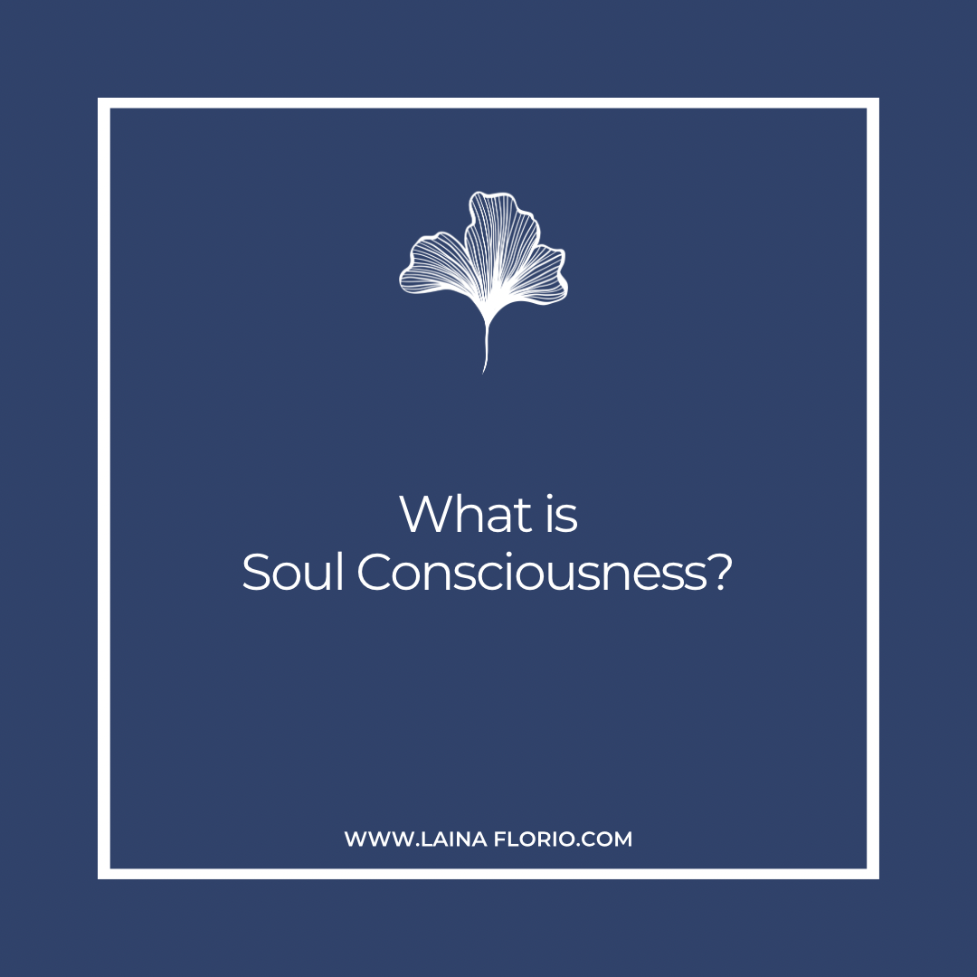 What Is Soul Consciousness?
