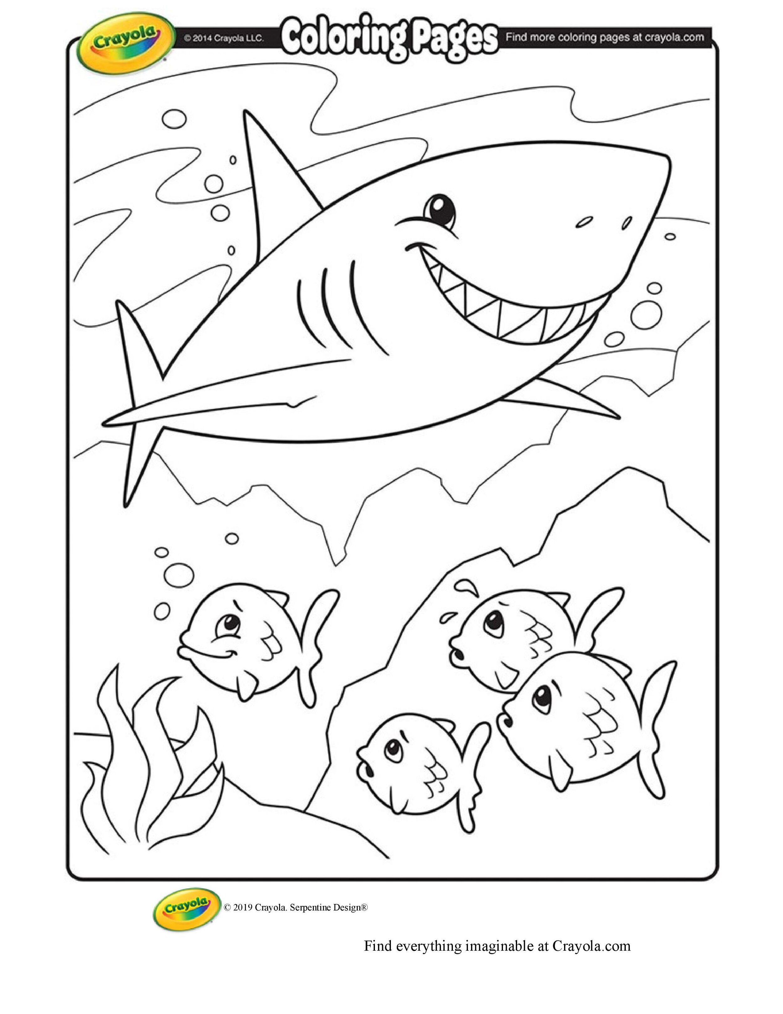 Shark Coloring Page.jpg