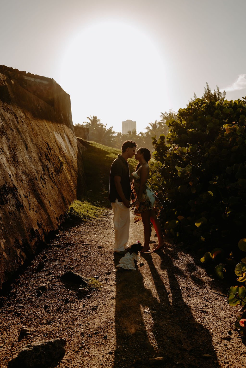 A couple standing close together, holding hands, and about to kiss on a dirt path during sunset, with a small dog sitting nearby. The scene is set outdoors with greenery and a large wall on the left and bushes on the right, backlit by a bright sun.