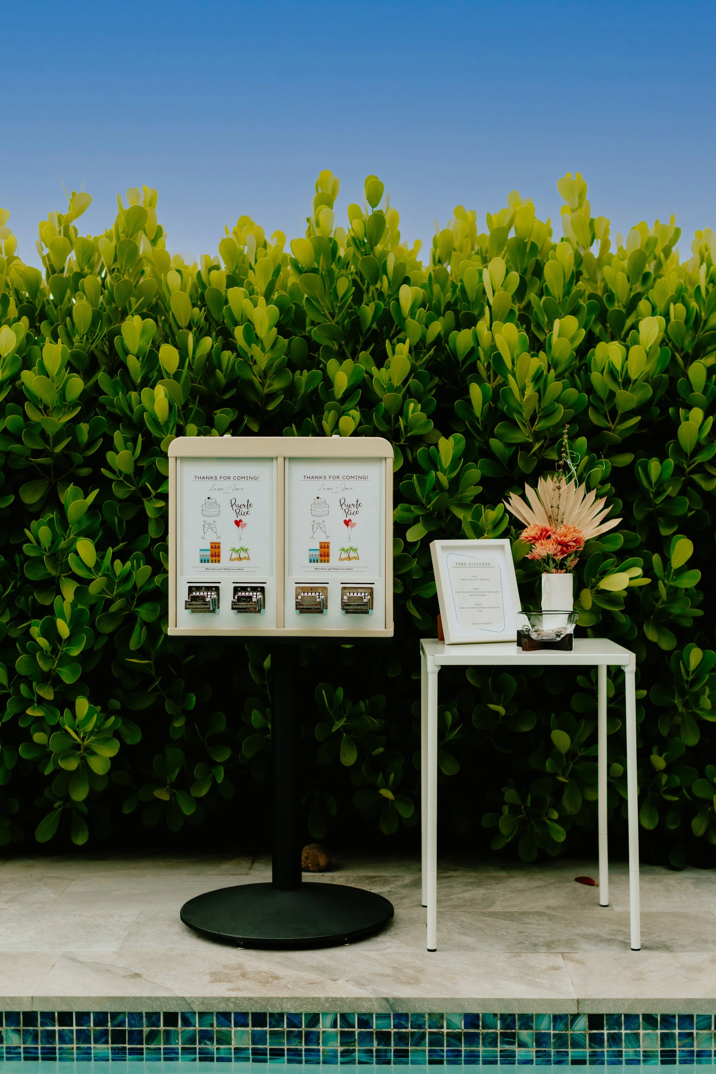 Outdoor scene featuring a green hedge background with a white signboard, a small white table with flowers and a sign, and a black stand with vending machines or dispensers in front of the hedge.