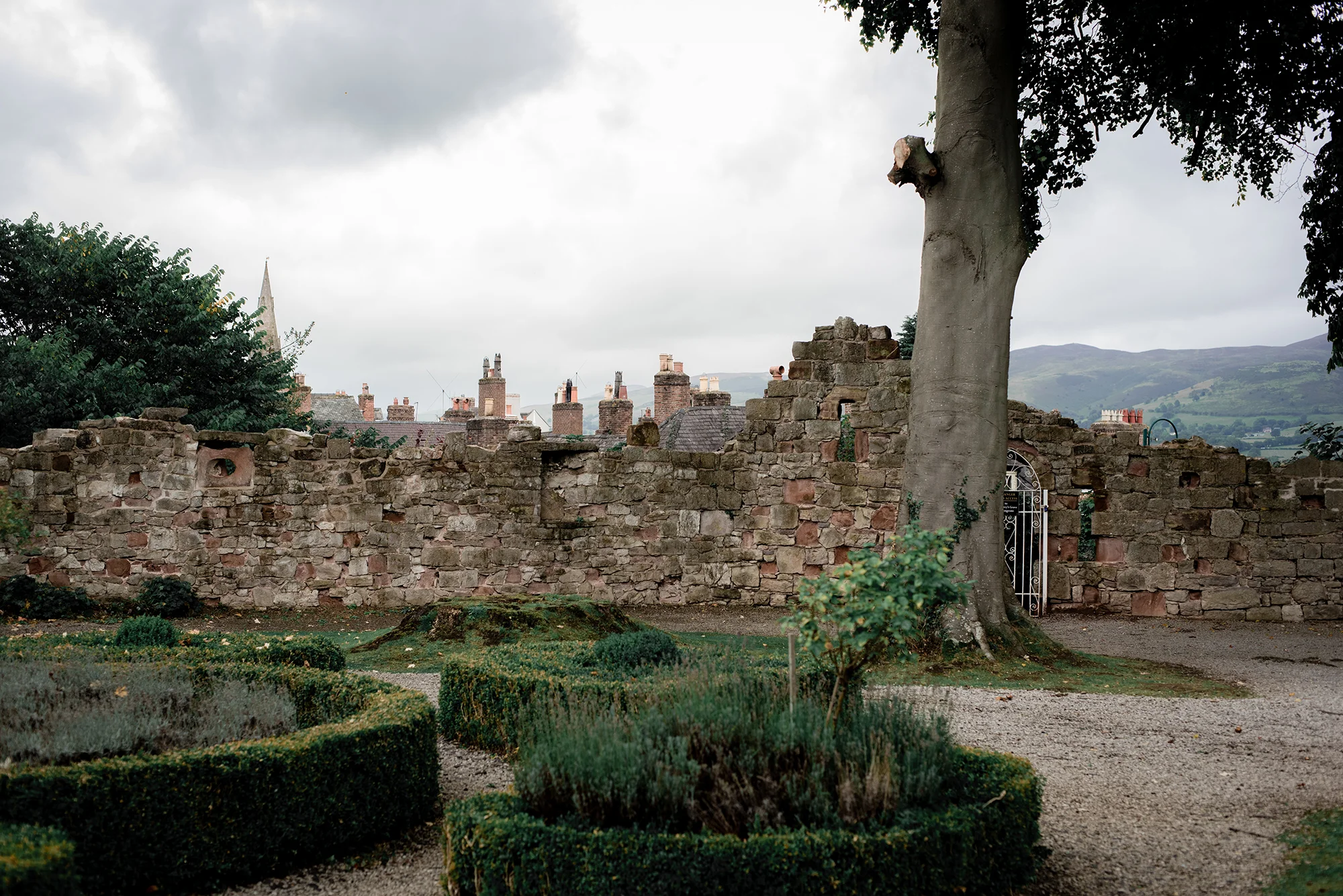 Cody and Joanne, Wales Castle Wedding