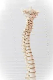 Intramedullary Spinal Tumors