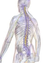 Treating Spinal Pain without Addictive Narcotics