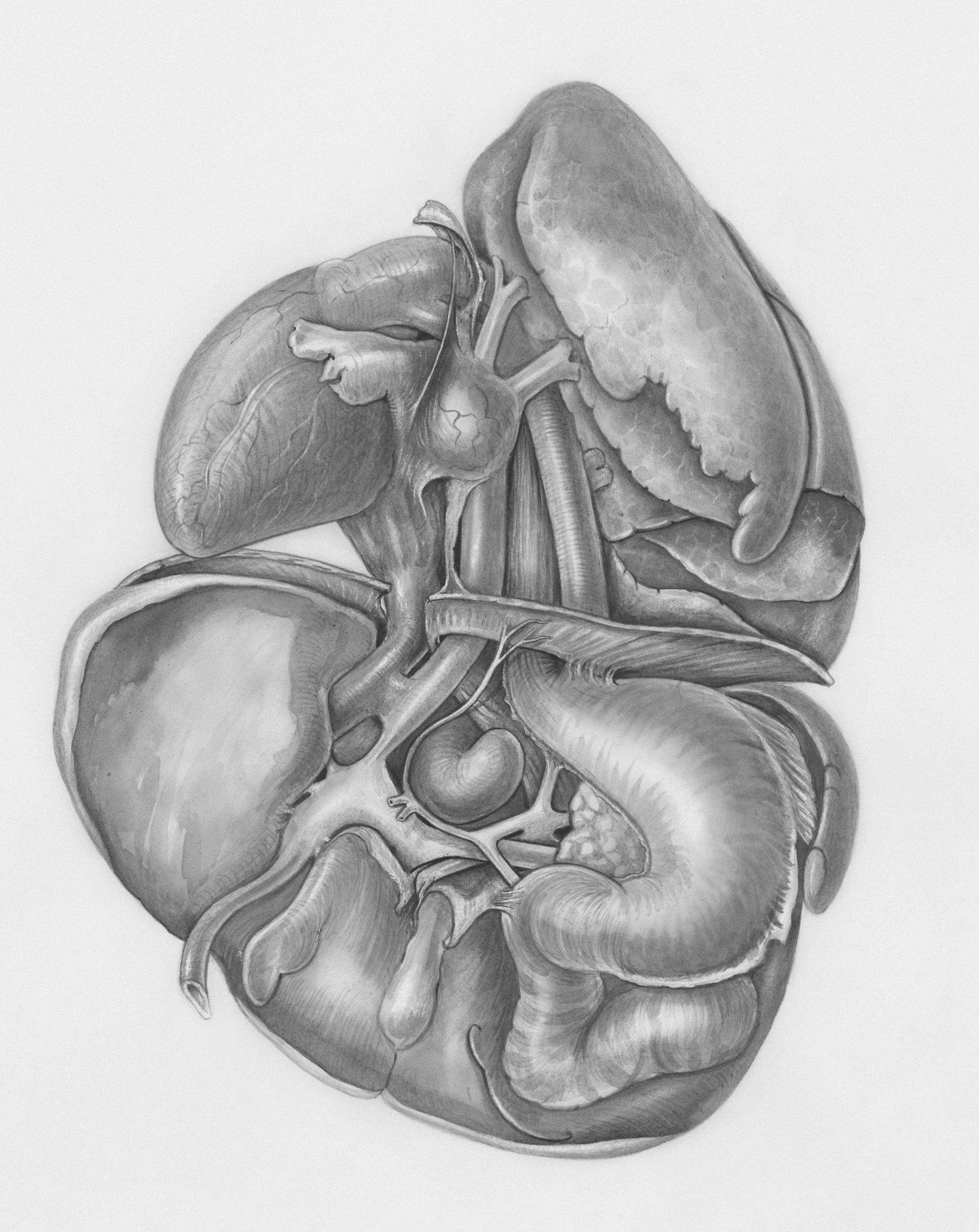 Image-Guided Placement of Percutaneous Gastrostomy Tubes 