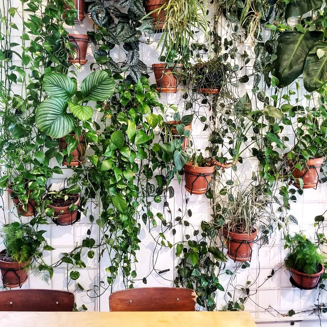 Da+Otto+Milano+-+Atelier+Mave+Milan+Guide.jpg
