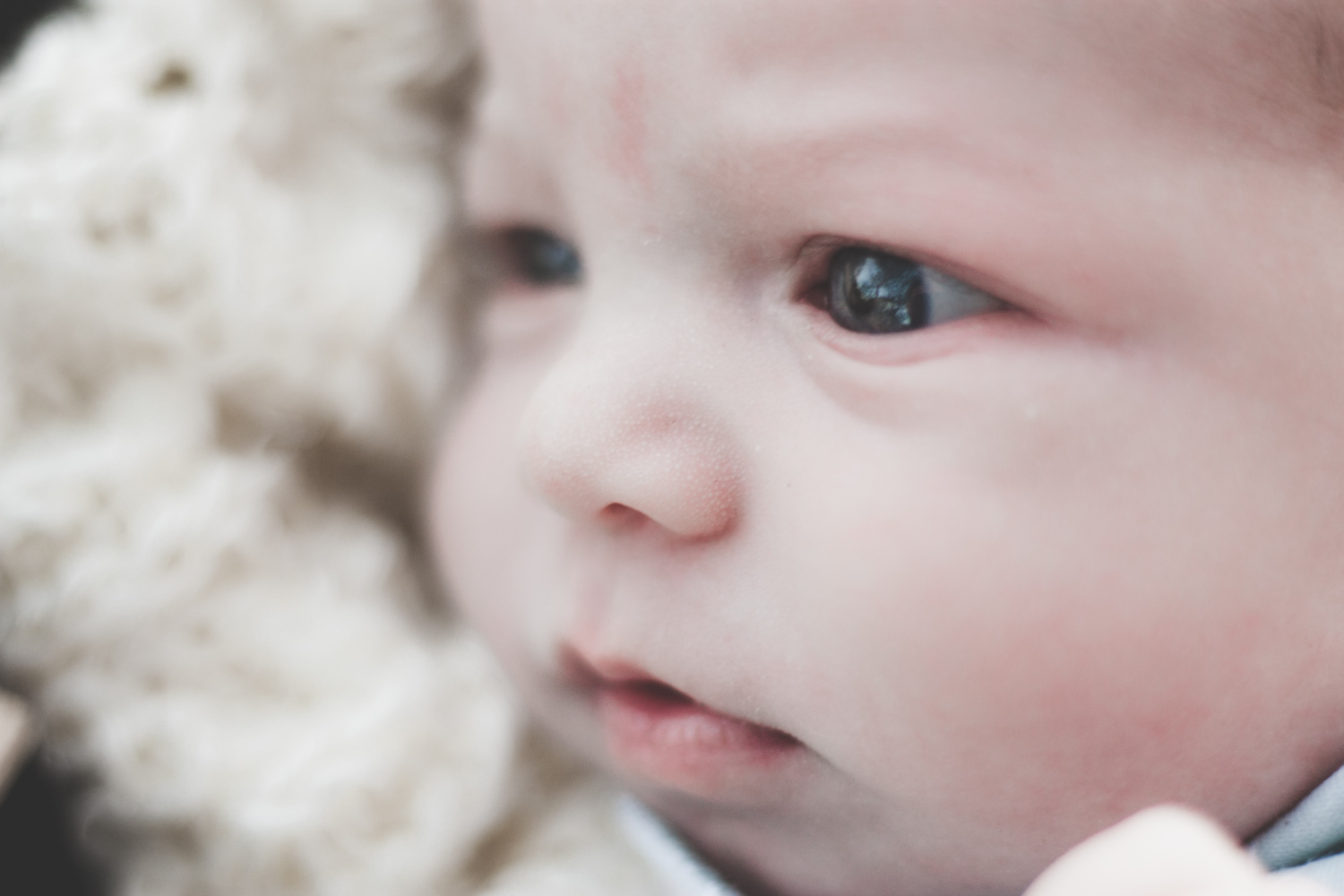 Mesa Arizona Newborn Photographer