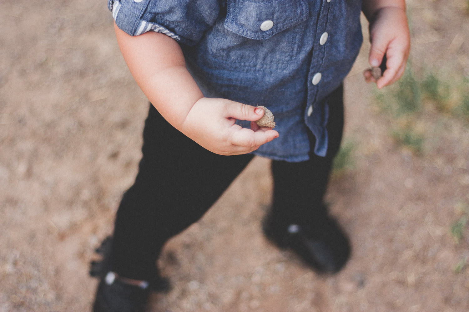 Mesa Arizona Lifestyle Blogger