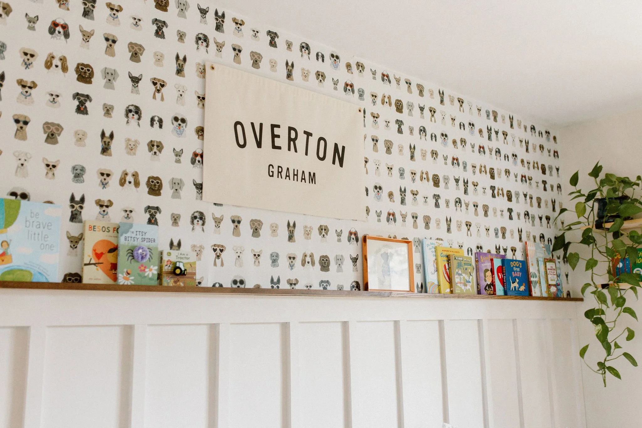 Scottsdale Arizona Newborn Photographer