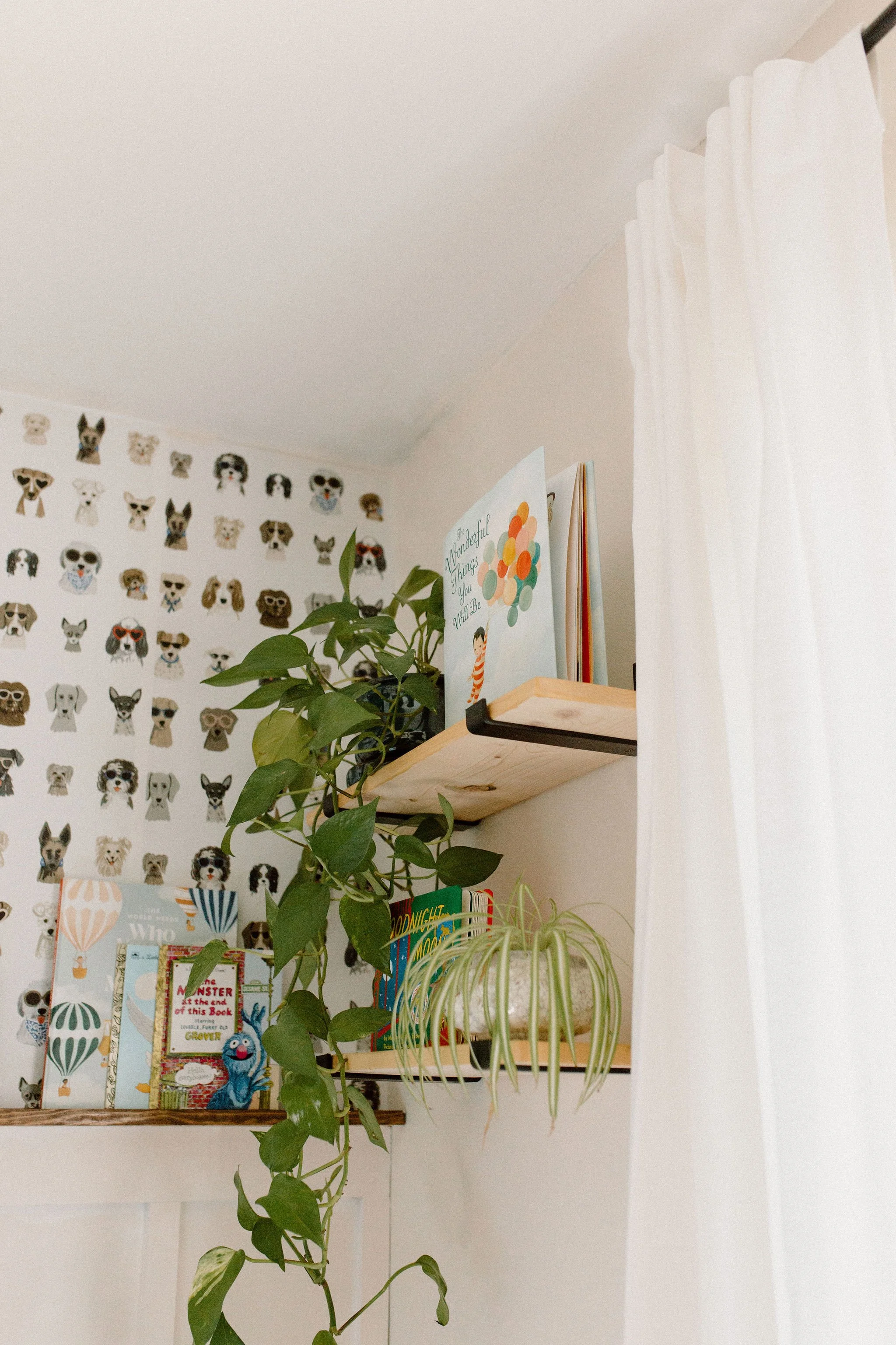 Scottsdale Arizona Newborn Photographer