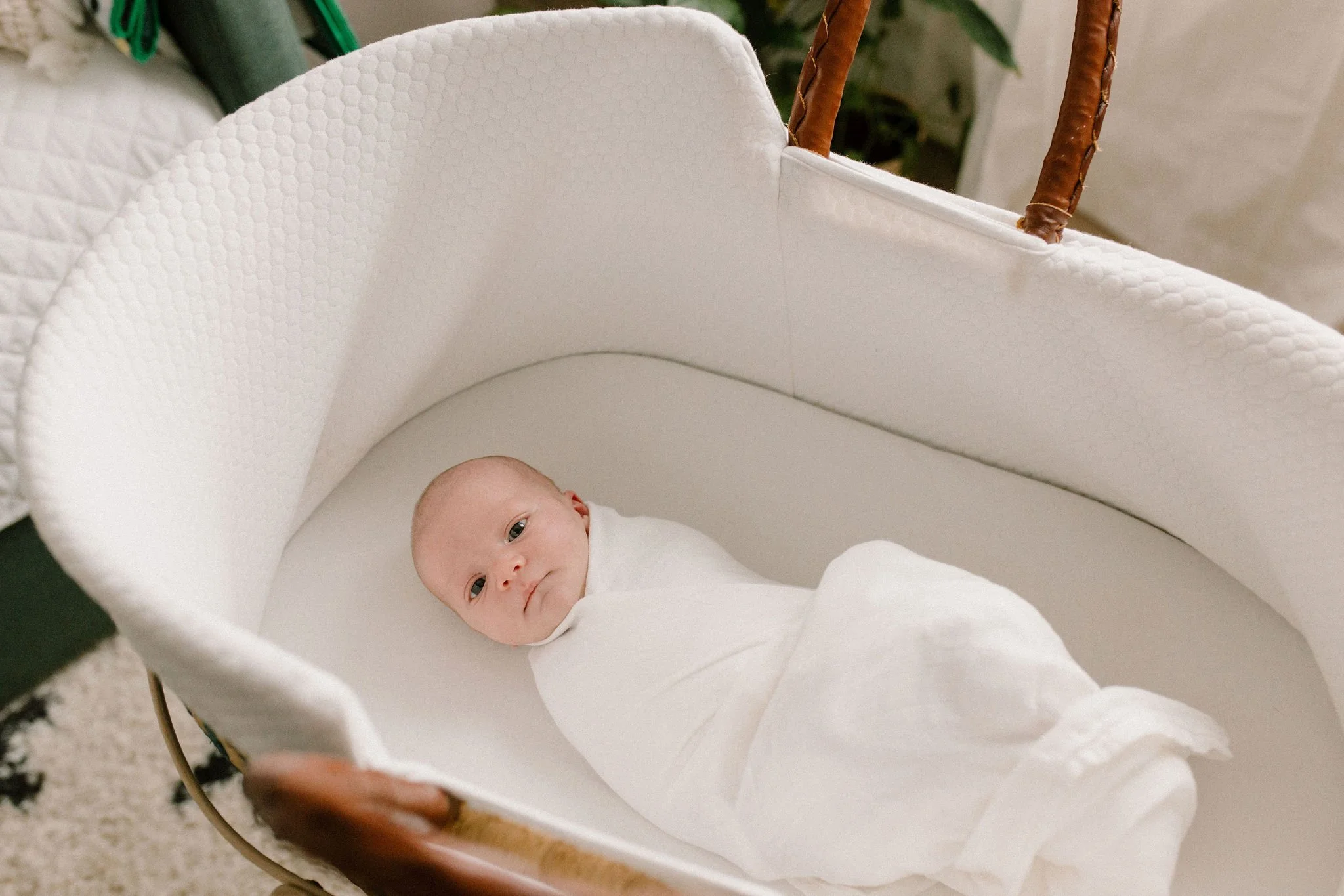 Scottsdale Arizona Newborn Photographer