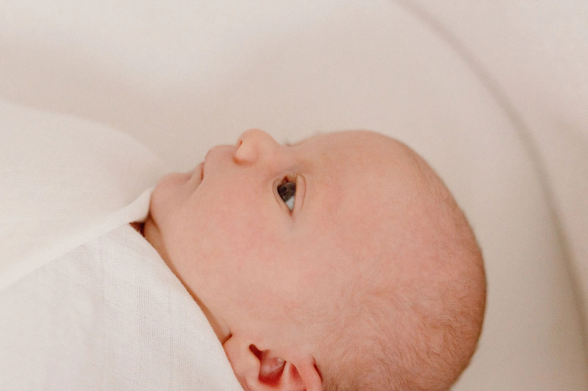 Scottsdale Arizona Newborn Photographer