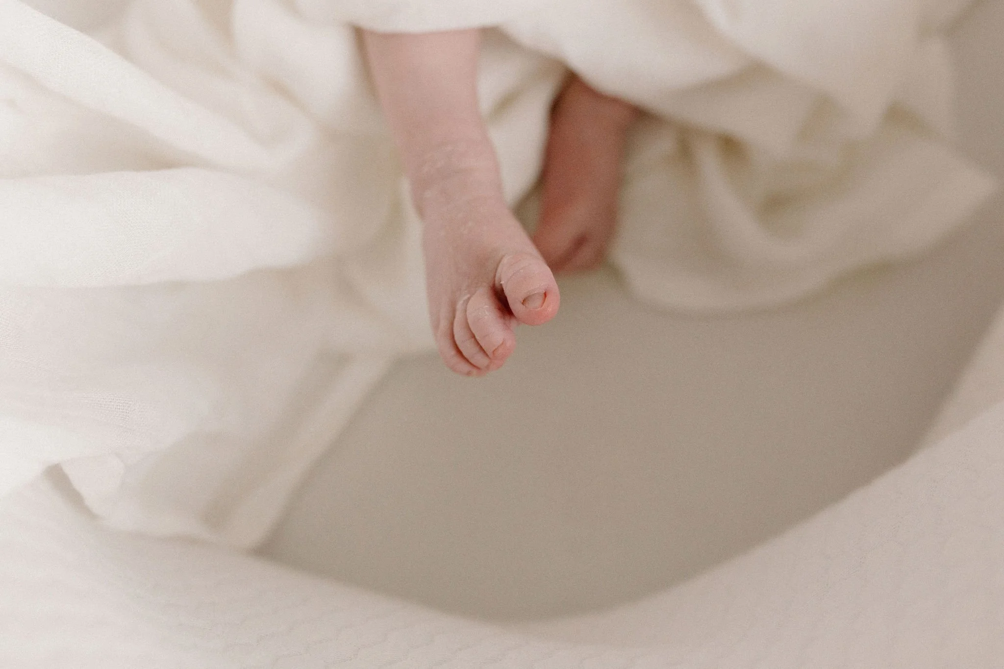 Scottsdale Arizona Newborn Photographer