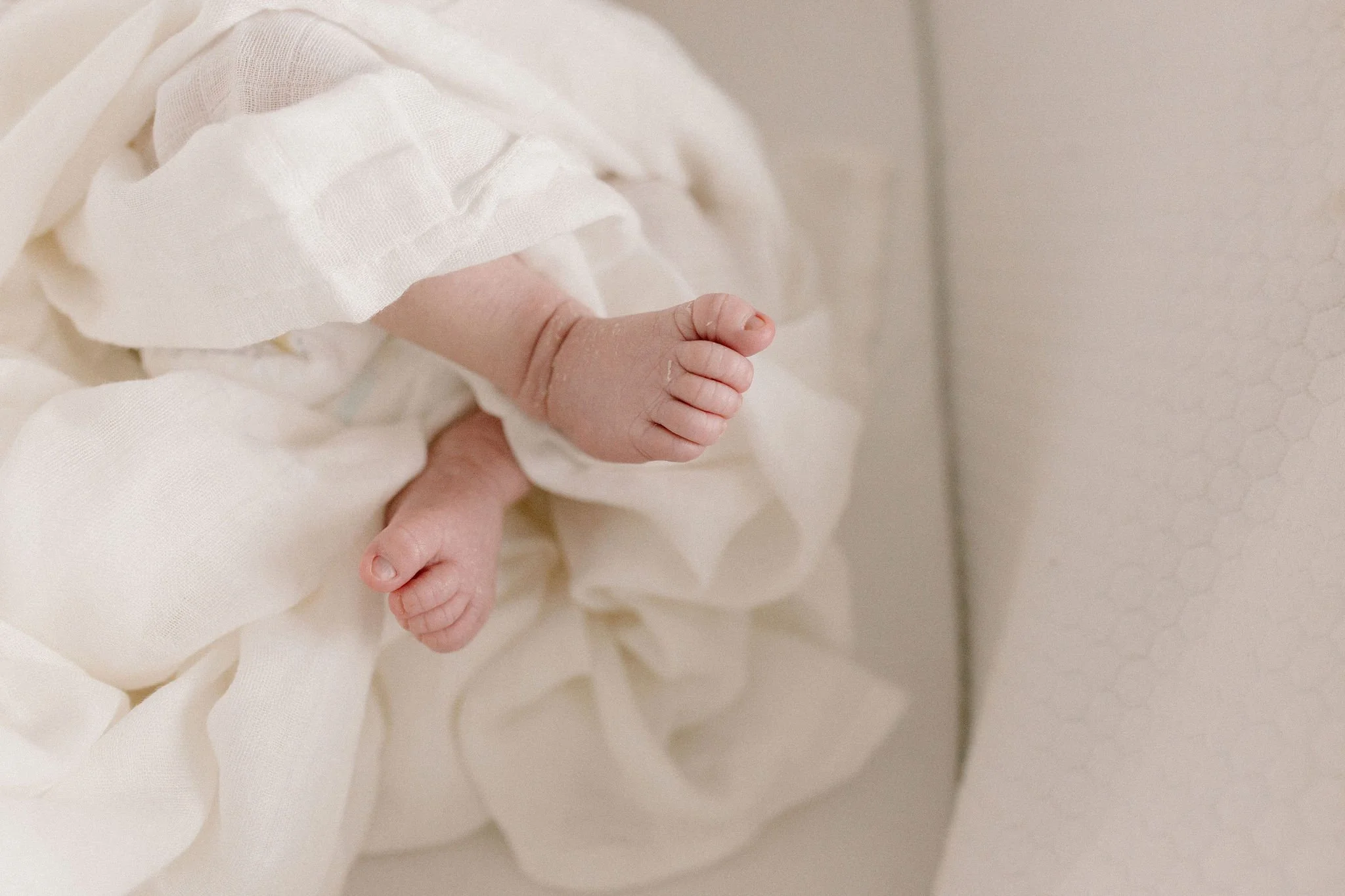 Scottsdale Arizona Newborn Photographer