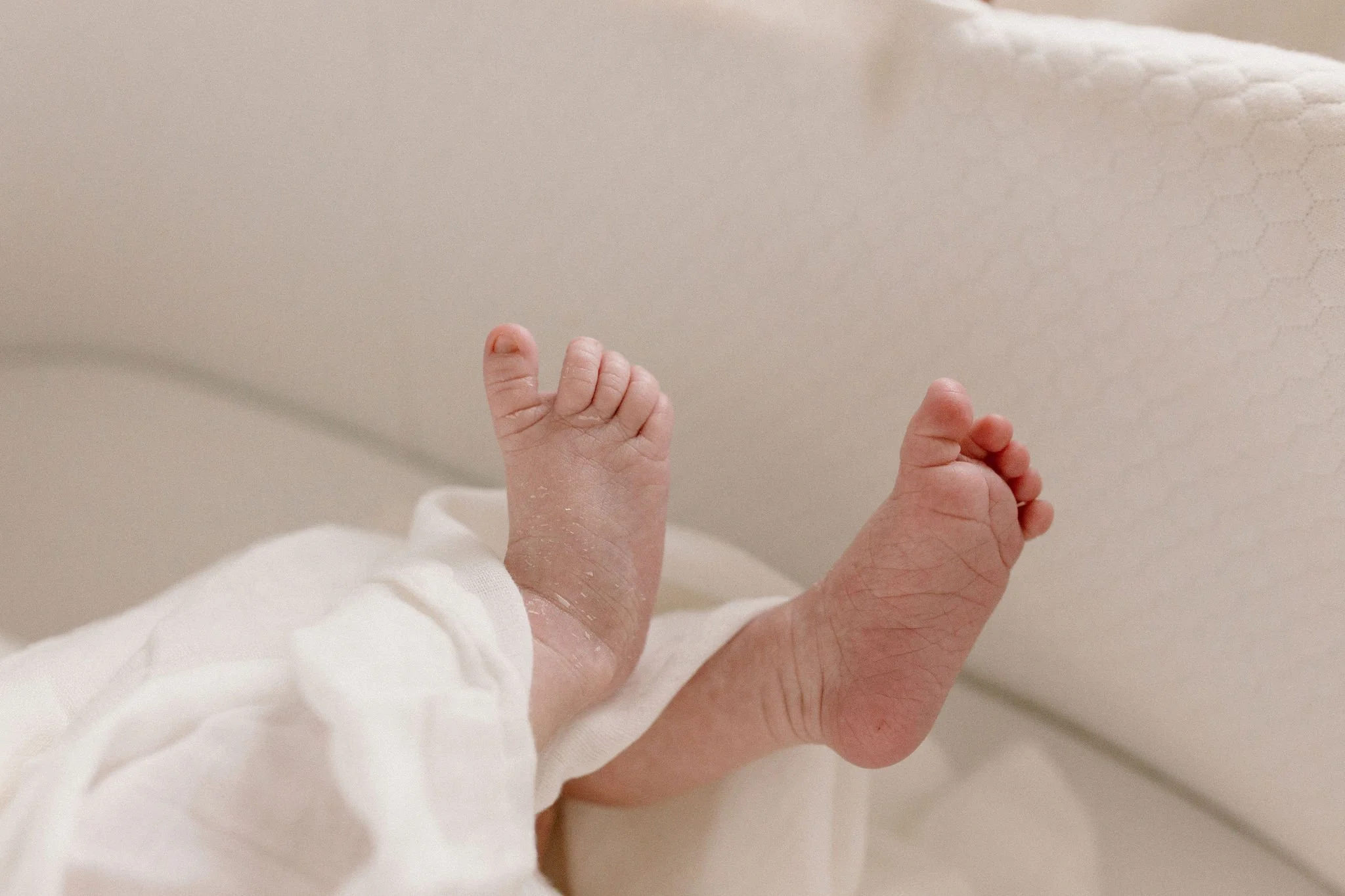 Scottsdale Arizona Newborn Photographer