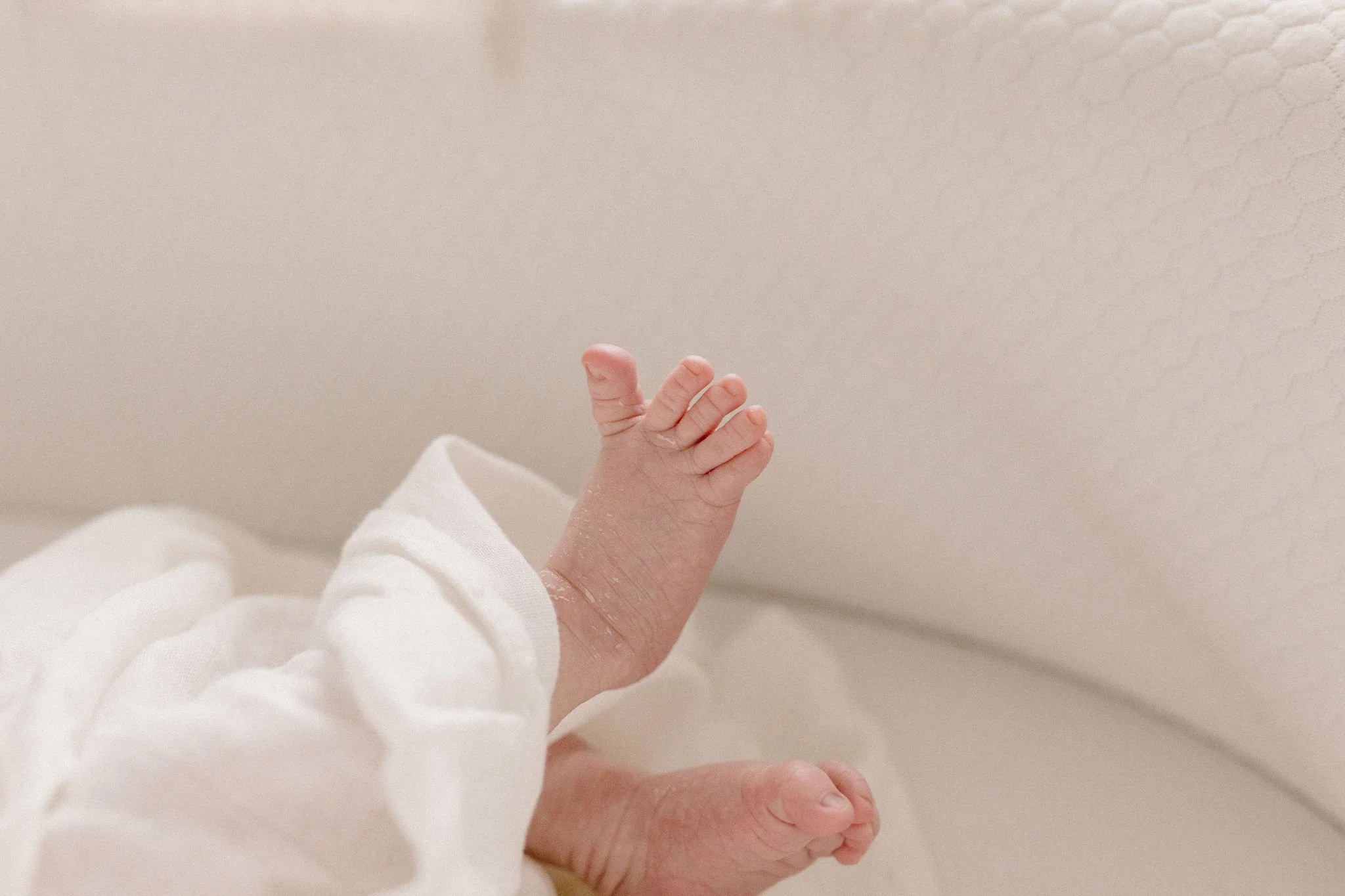 Scottsdale Arizona Newborn Photographer