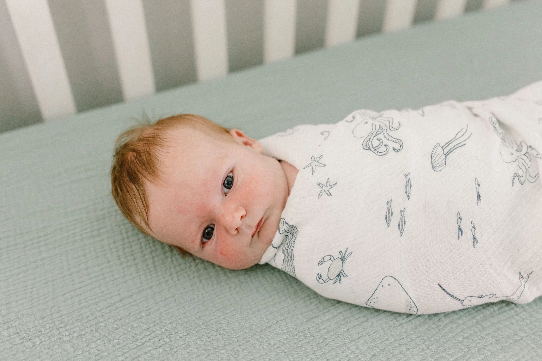 close-up of baby face swaddled in crib captured by Tempe Arizona newborn photographer