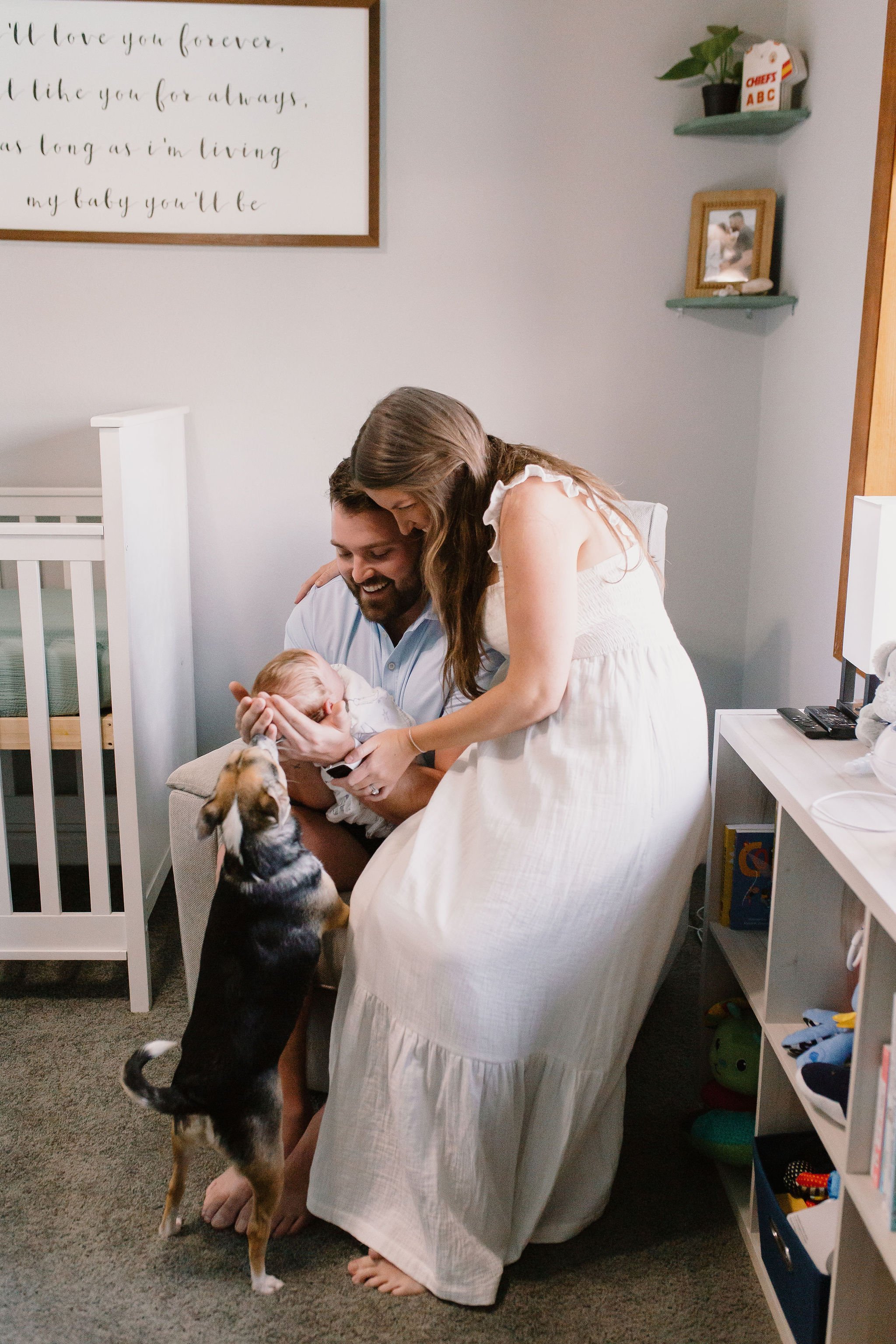 mom and dad holding baby with dog jumping up in nursery captured by Tempe Arizona newborn photographer