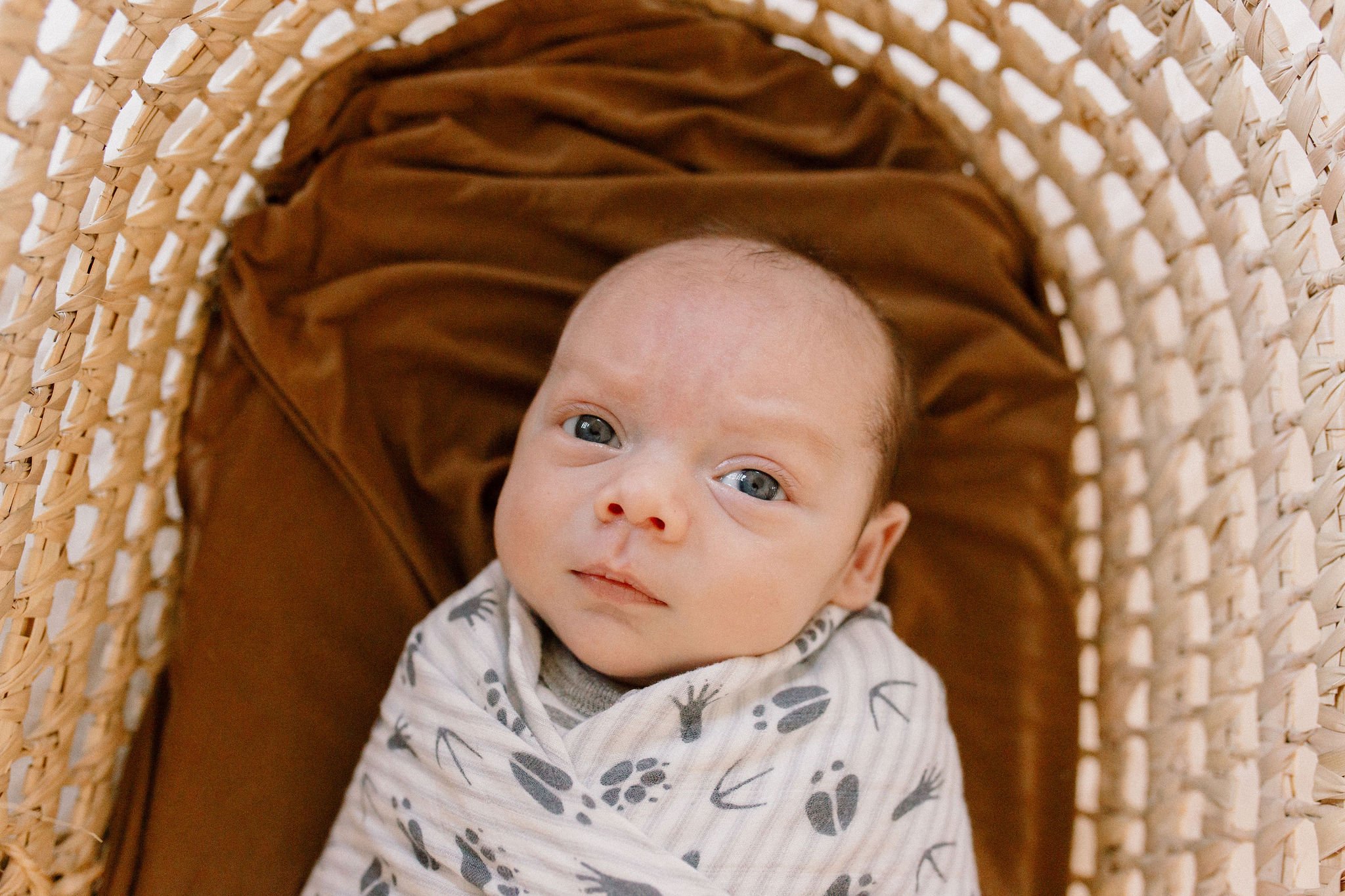 Mesa Arizona Newborn Photographer