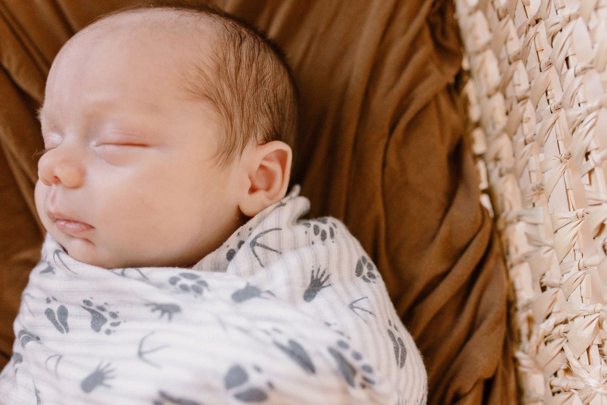 Mesa Arizona Newborn Photographer
