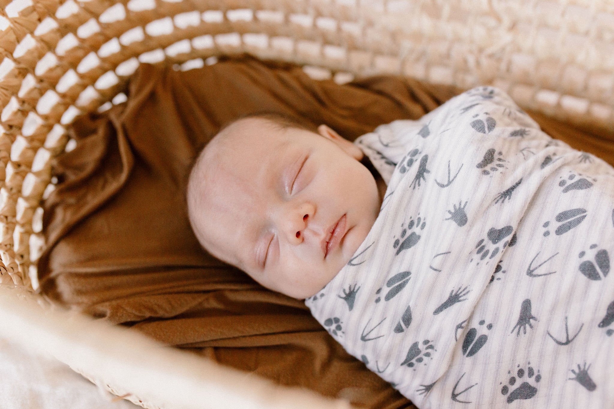 swaddled newborn baby boy sleeping in Moses basket