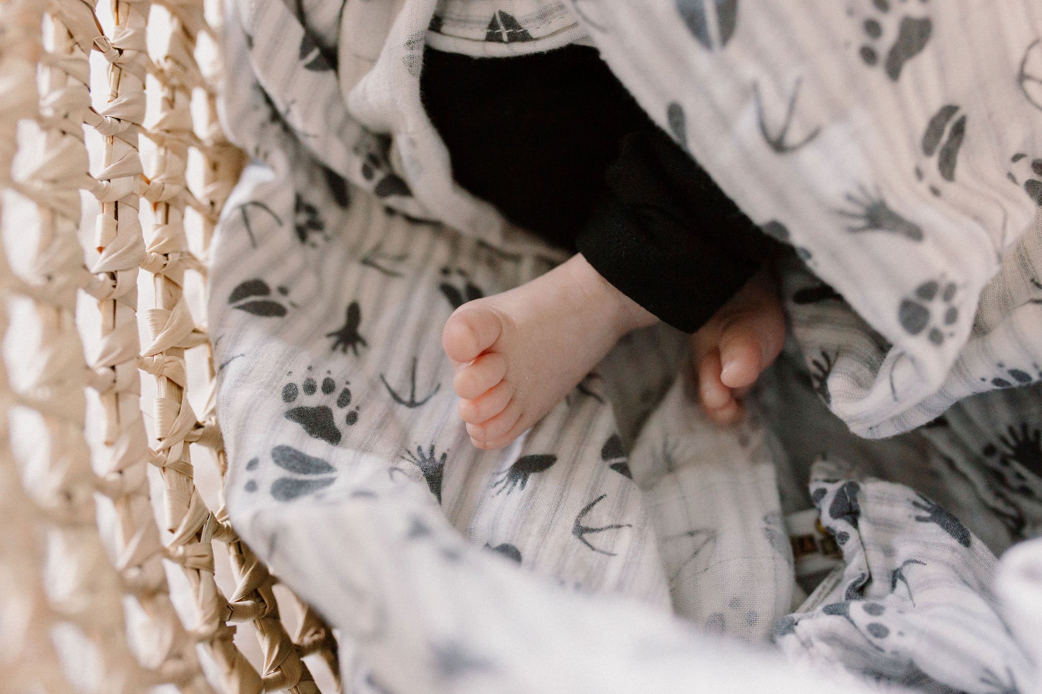 Mesa Arizona Newborn Photographer