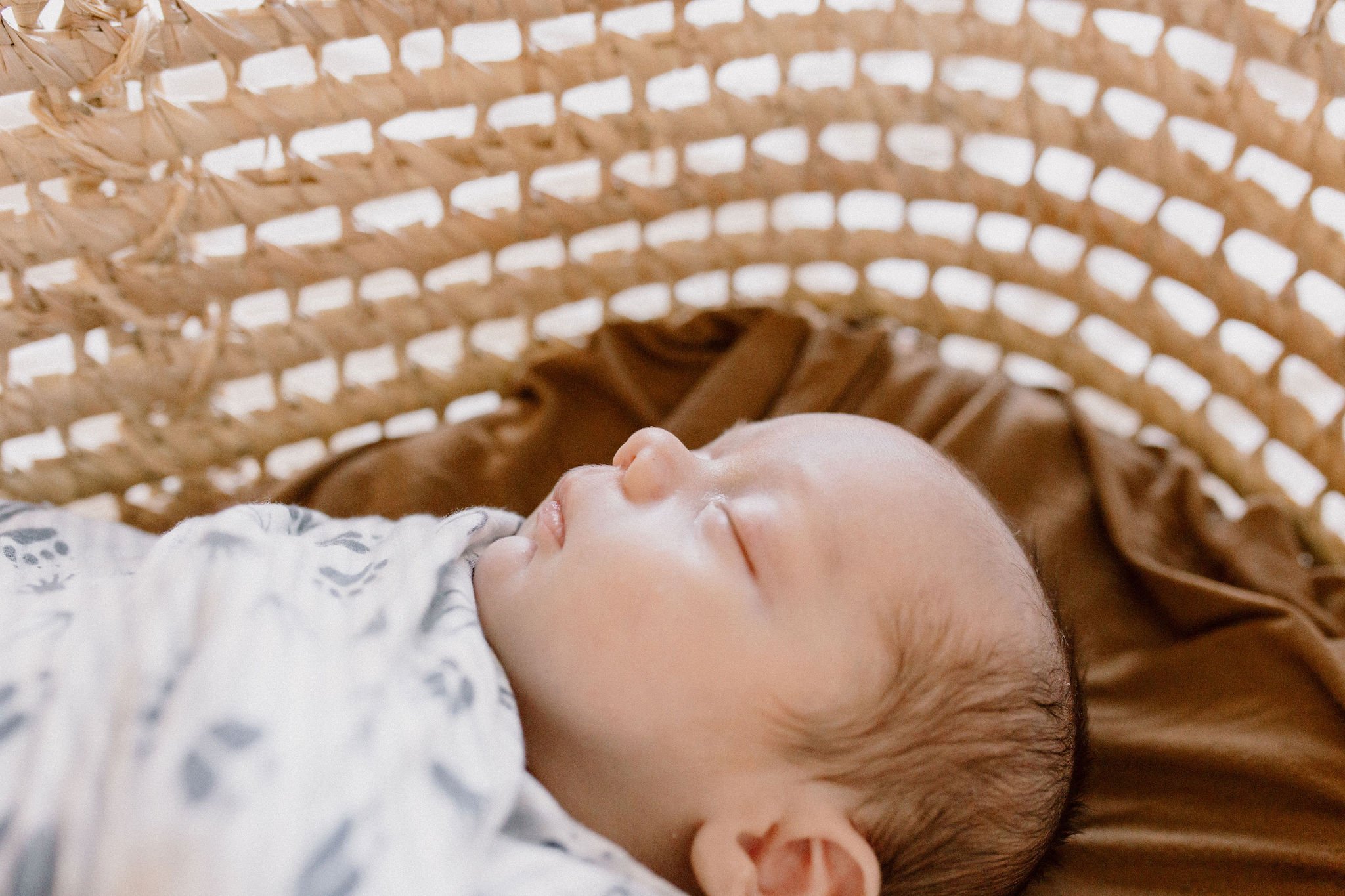 Mesa Arizona Newborn Photographer