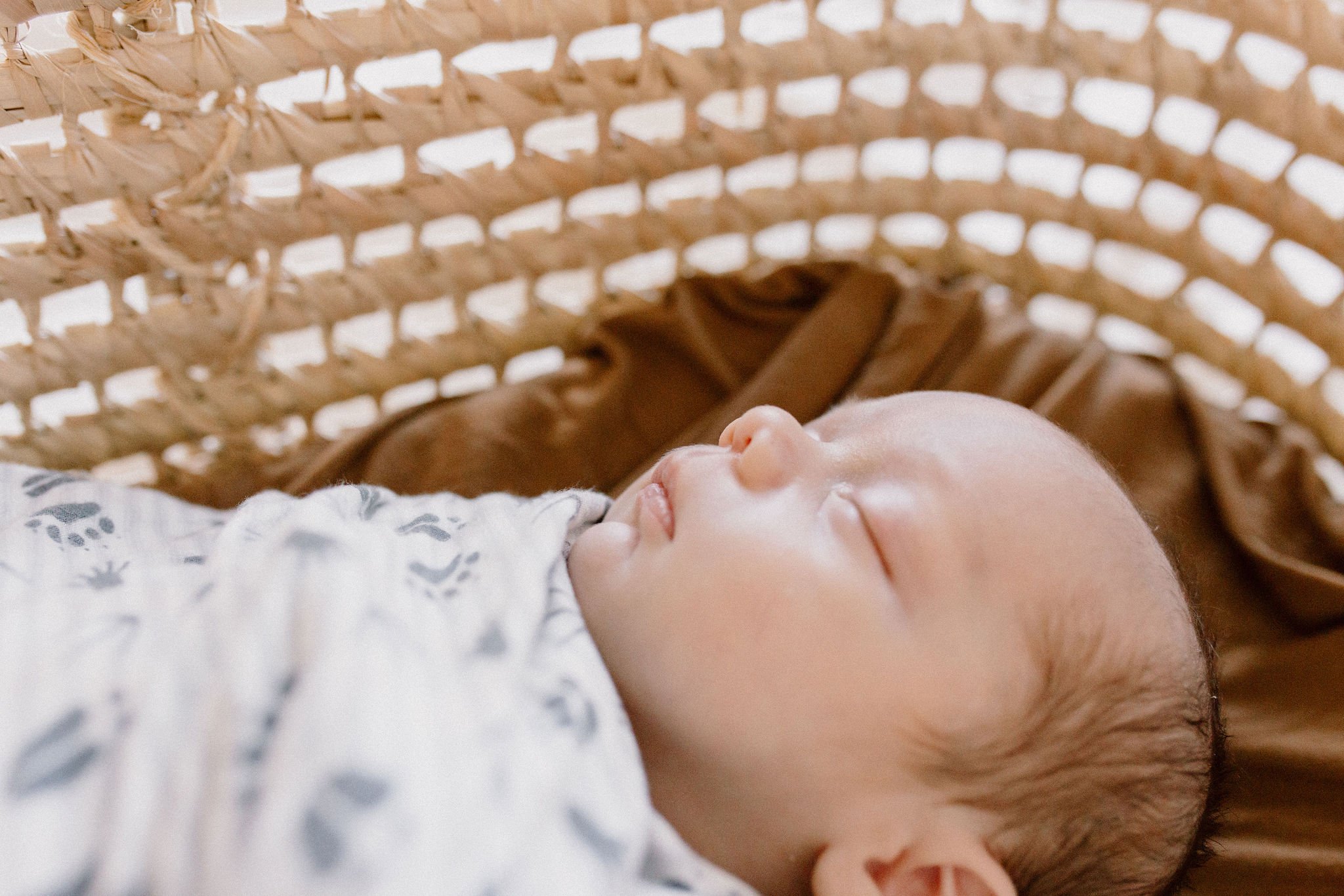 Mesa Arizona Newborn Photographer